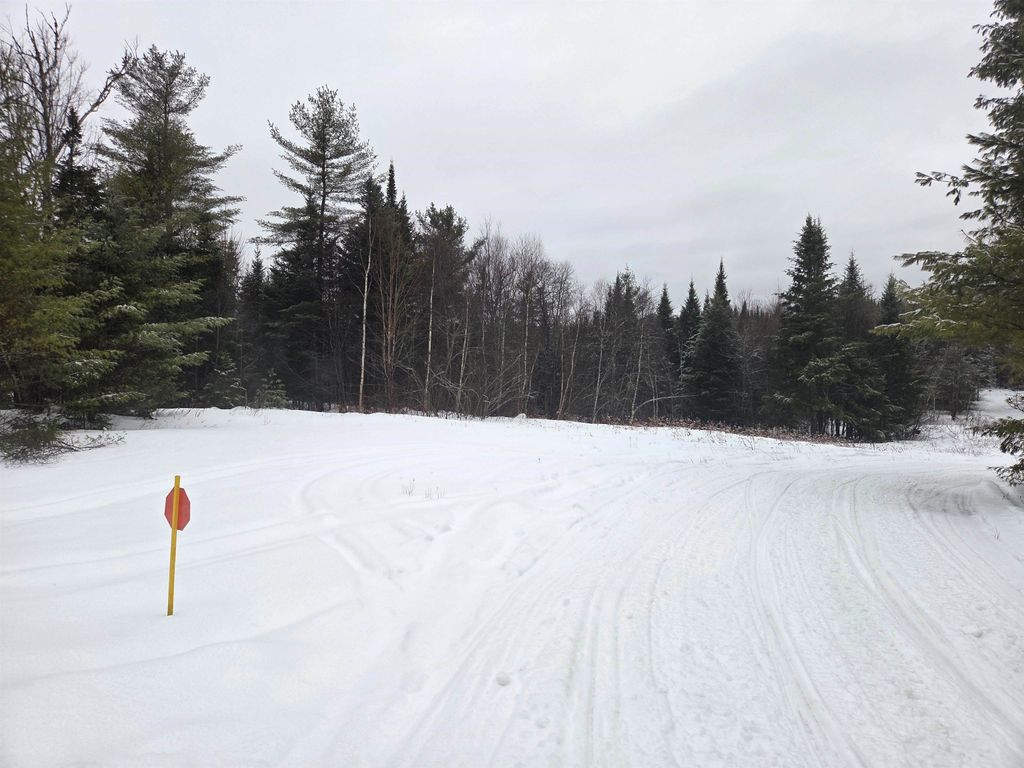 Photo of 0 Bell Hill Road, Stark, NH 03582 (MLS # 5074341)