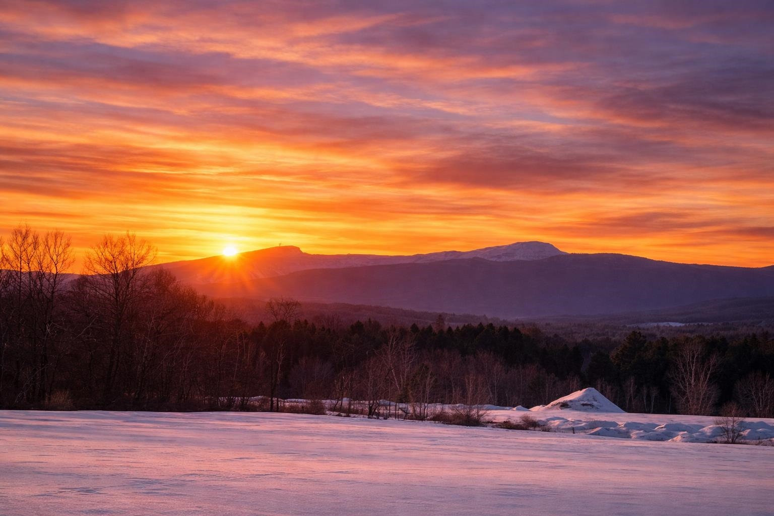 972 Fitzgerald Road 1