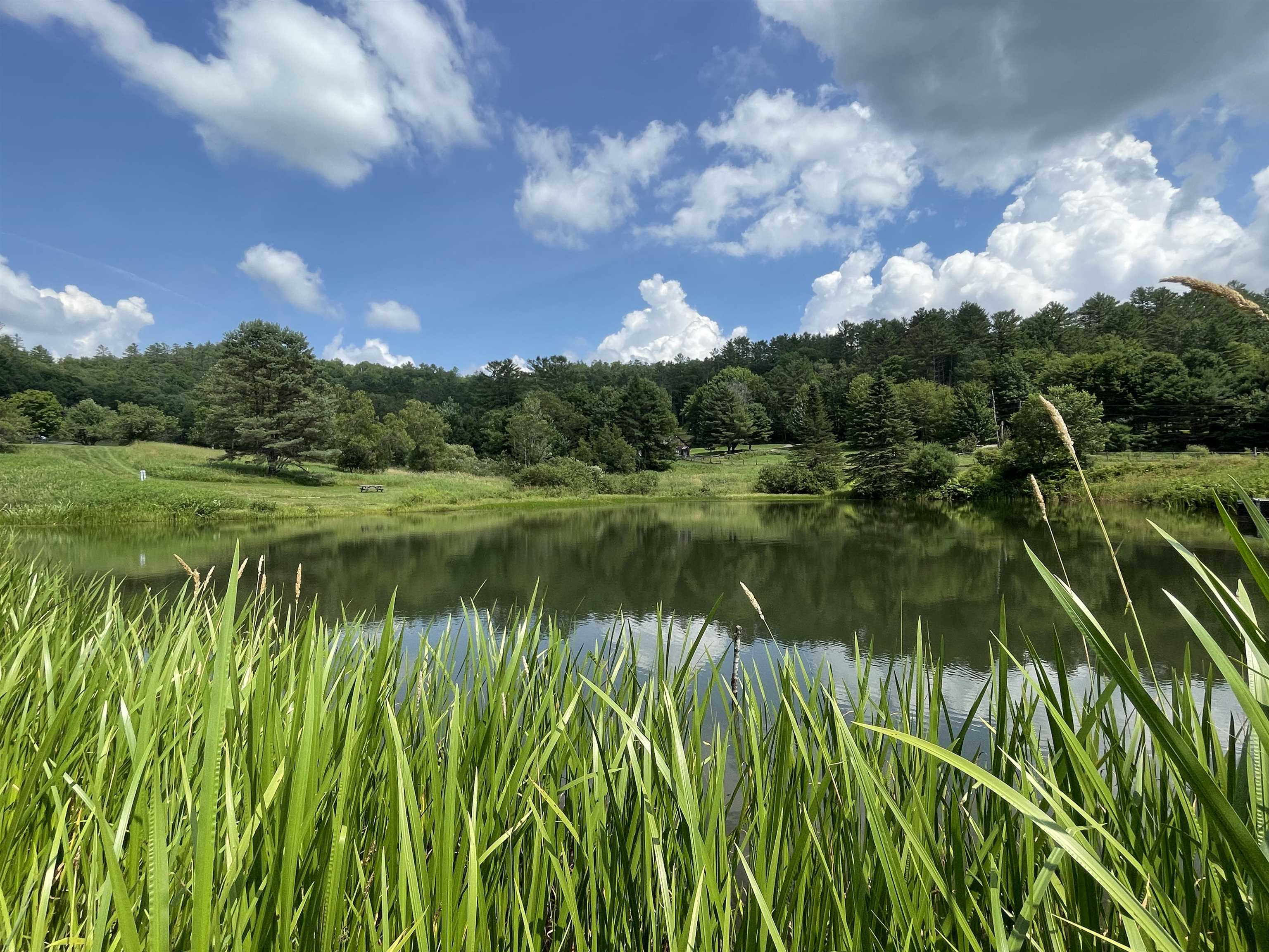 59 Mountain Meadows Road