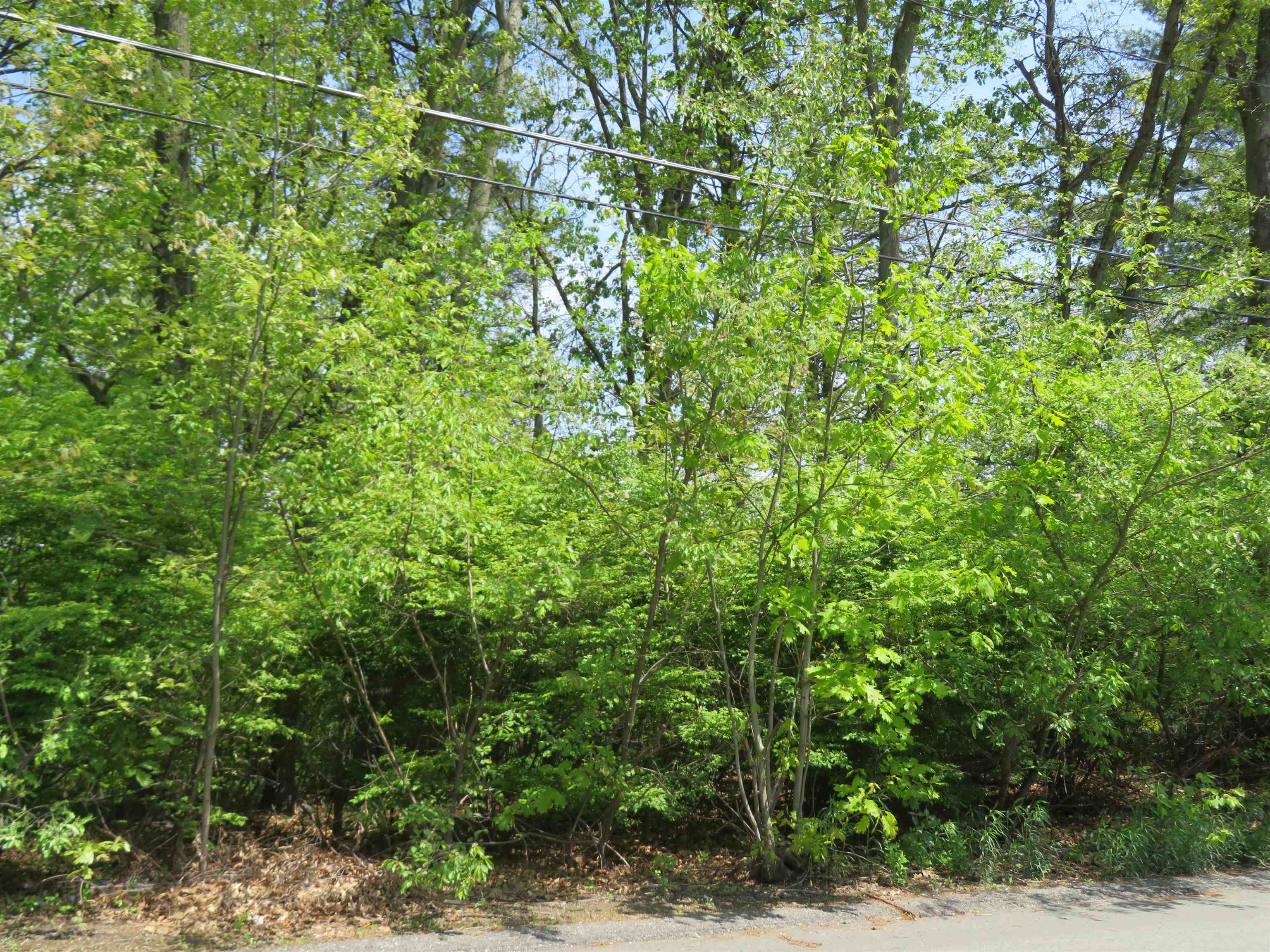 Lot 653 Farmington Road