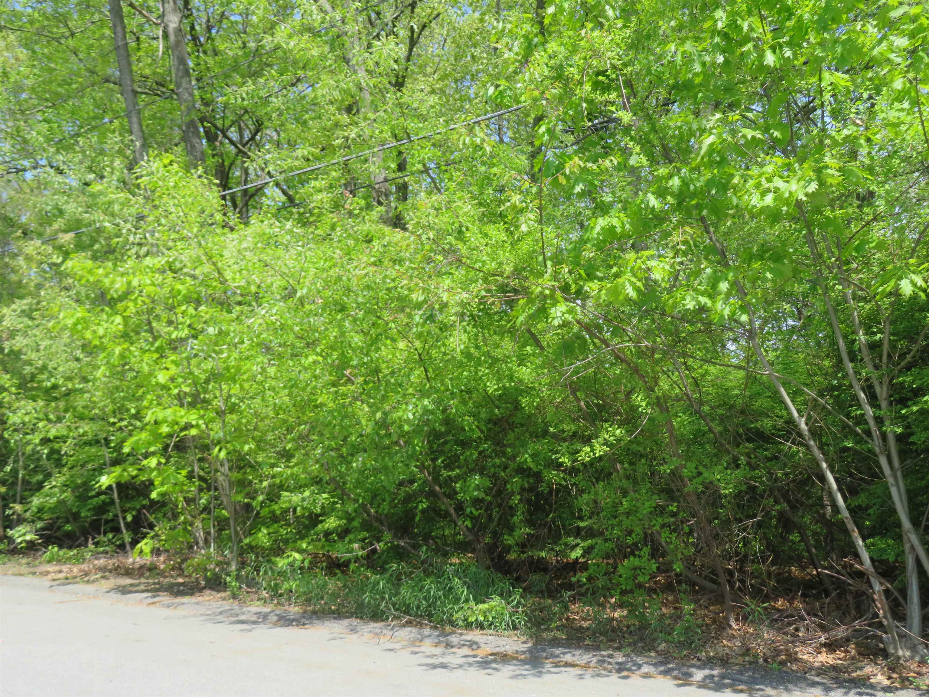 Lot 653 Farmington Road