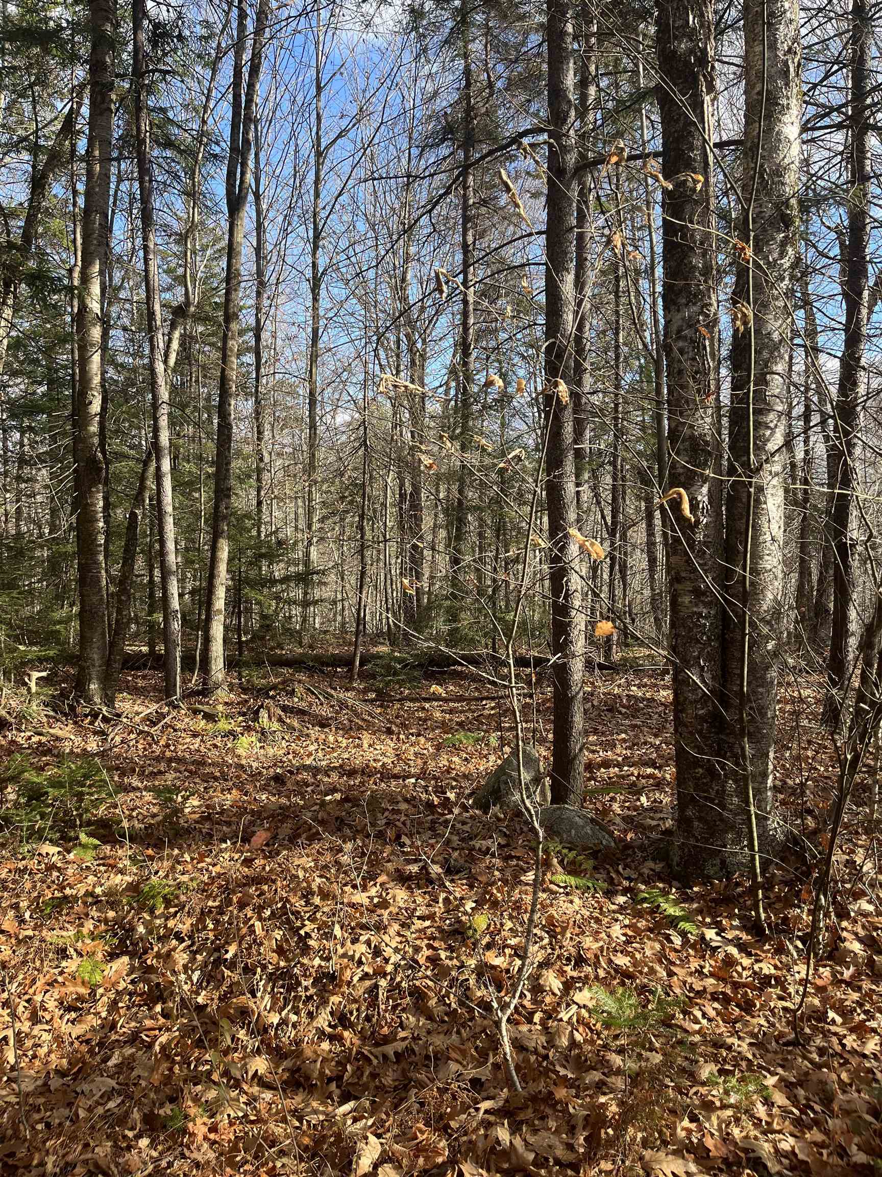 Faxon Hill Road Map 11 Lot 69-1