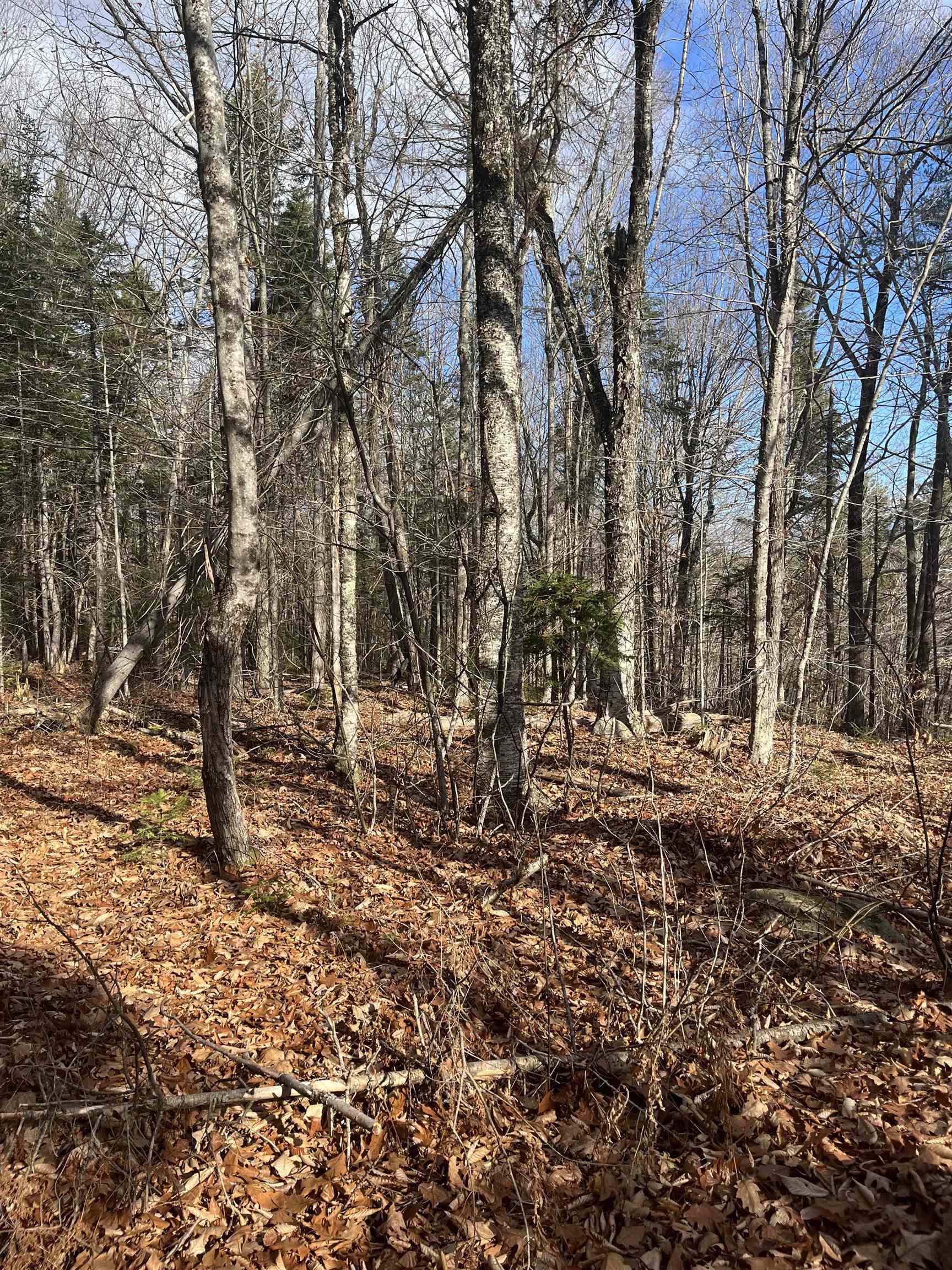 Faxon Hill Road Map 11 Lot 69-1