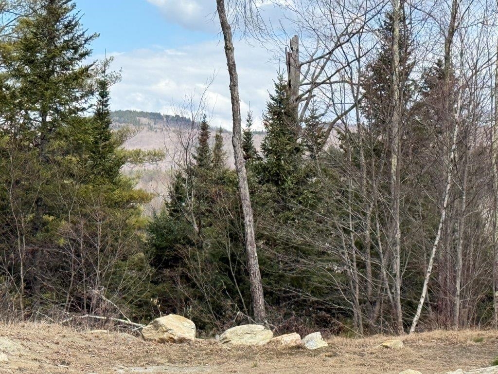 390 NH Route 118
