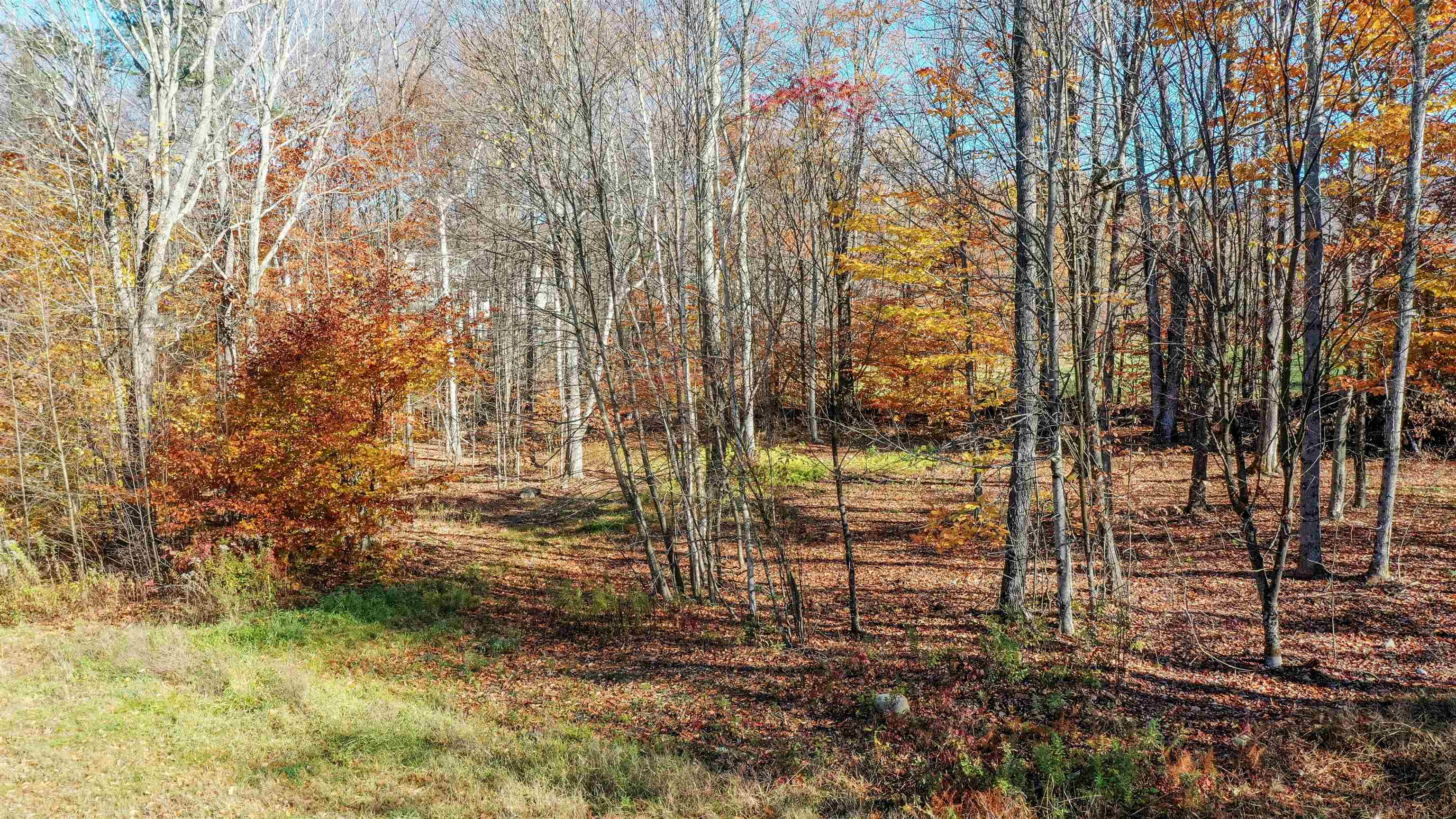 00 Pasquale Street 9