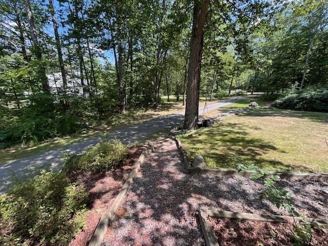 85 Checkerberry Lane