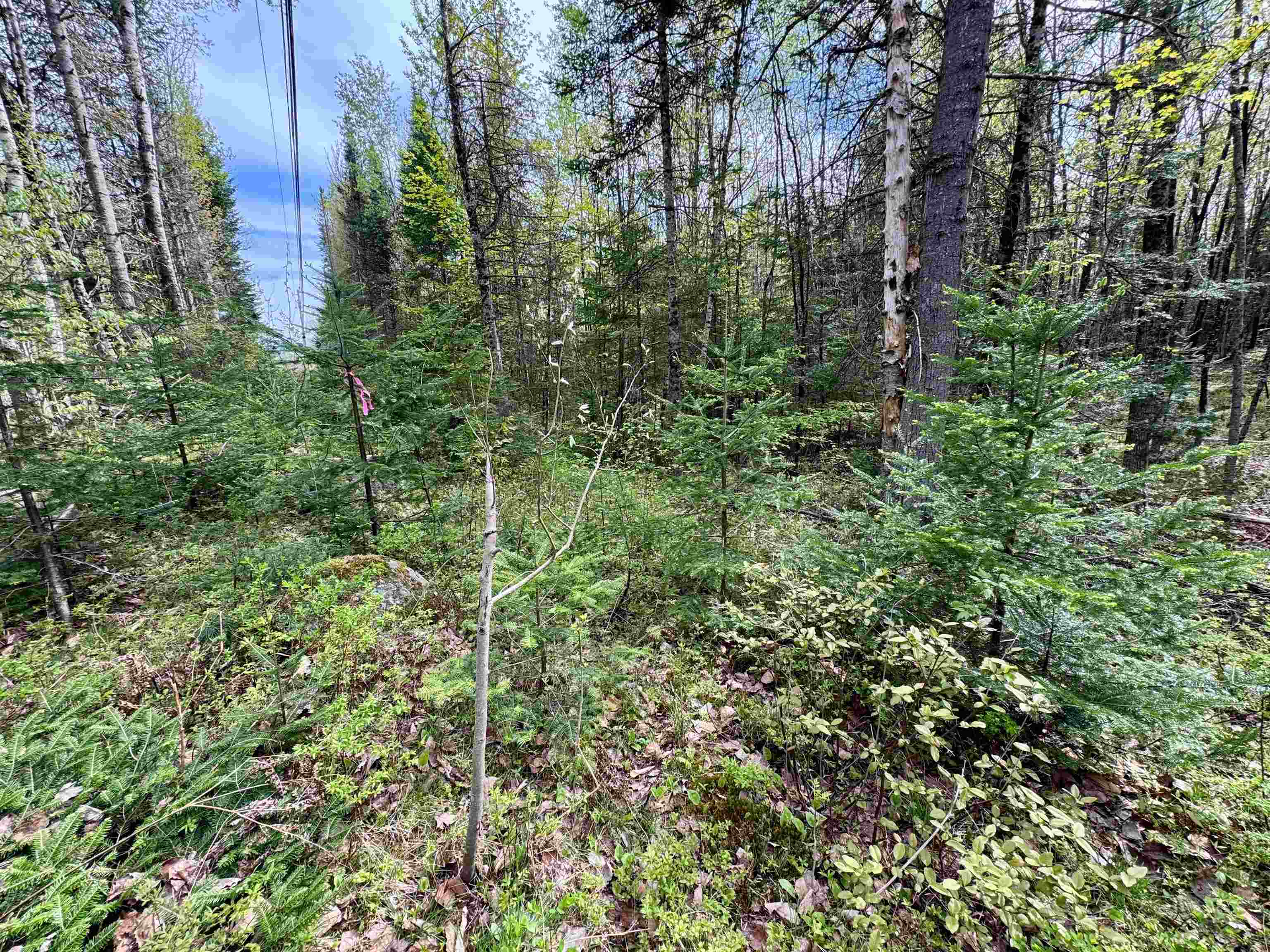 00 Oregon Road Lot 1