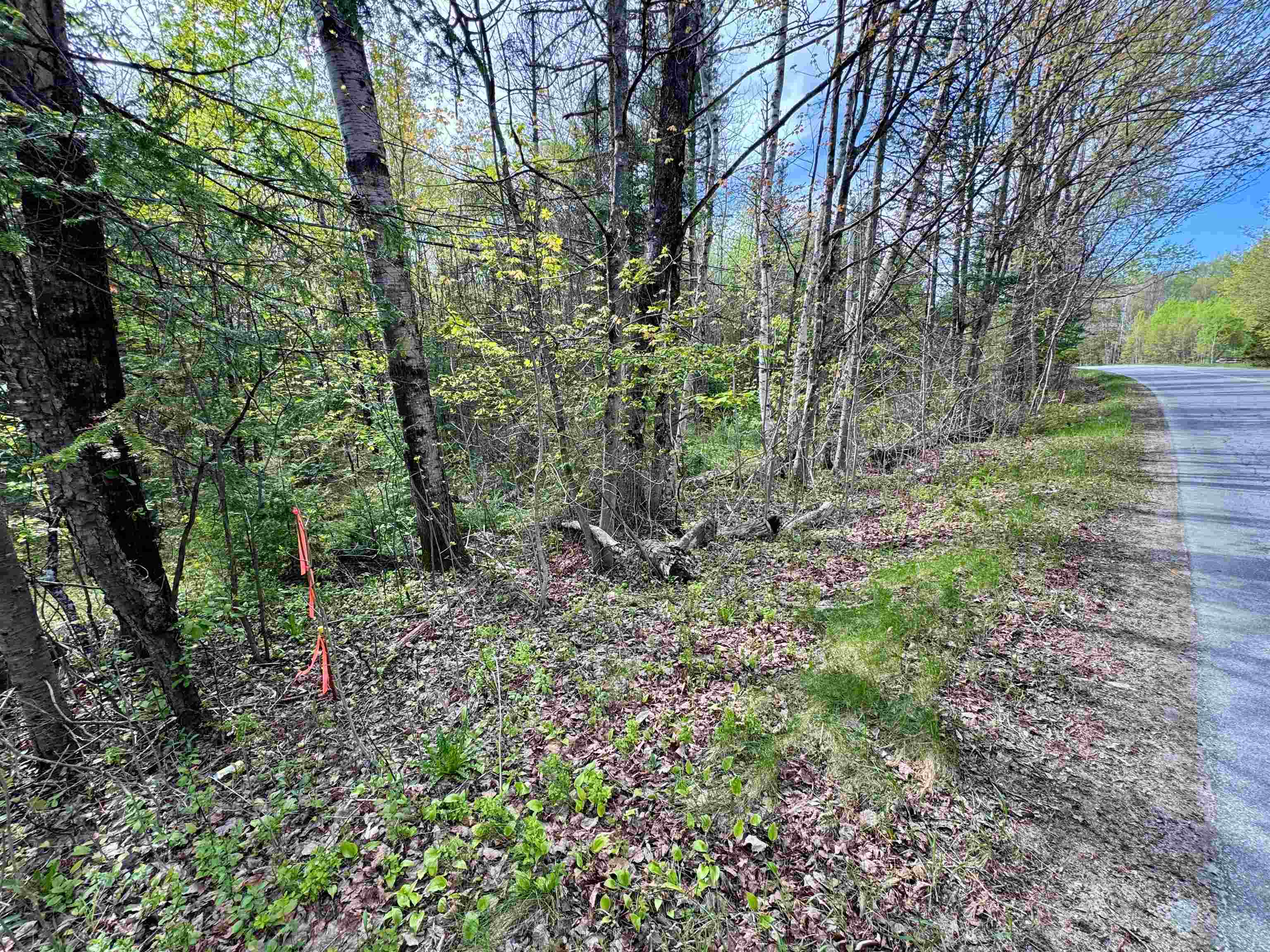 00 Oregon Road Lot 1