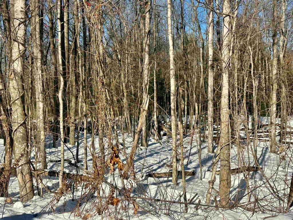 Photo of 14 Carpenter Street, Concord, NH 03301 (MLS # 5072274)