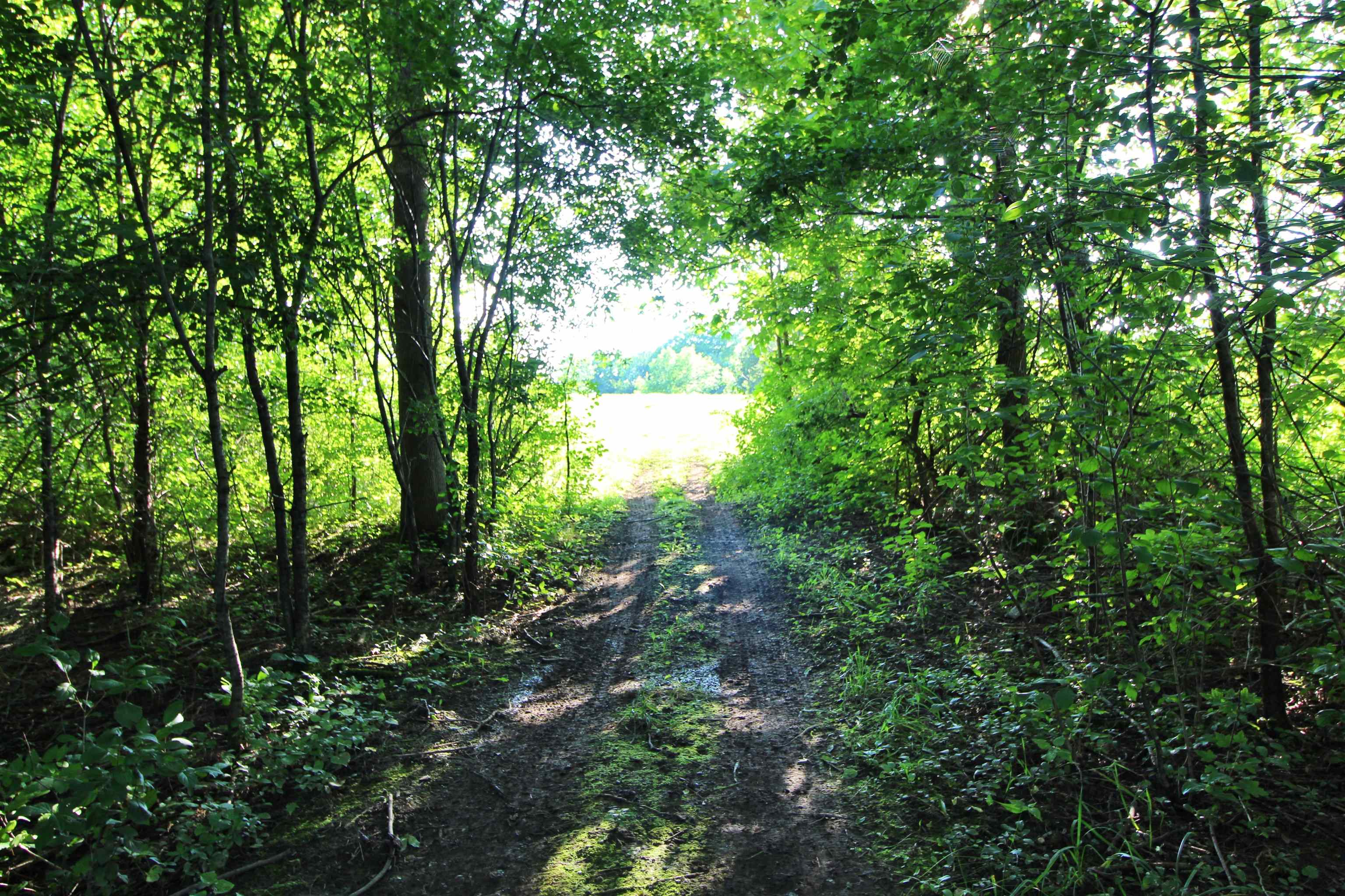 27 Faywood Road Lot 4