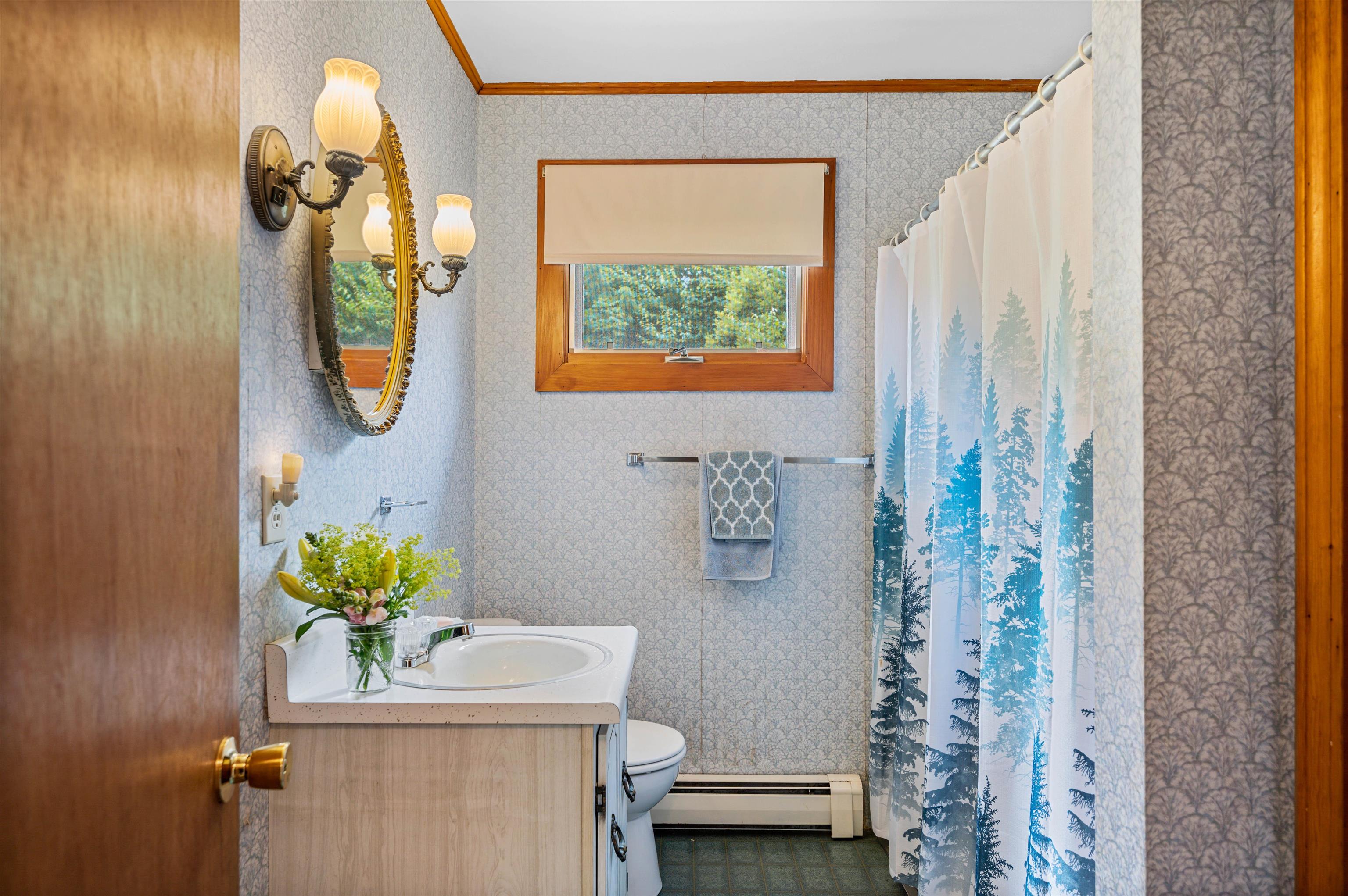 Hyde Park, Vermont 05655, United States, 3 Bedrooms Bedrooms, ,1 BathroomBathrooms,Residential,Active,168433