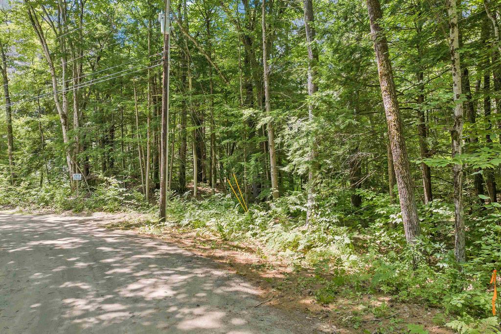 Photo of 20 Smoke Rise Road #20, New Hampton, NH 03256 (MLS # 5034815)