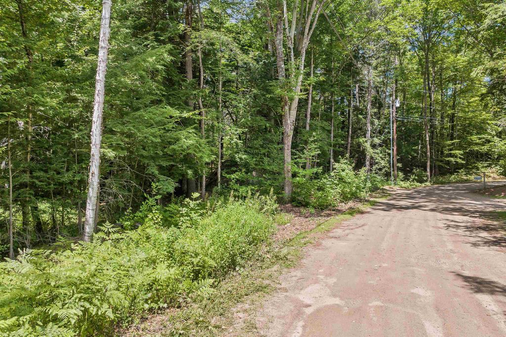 Photo of 20 Smoke Rise Road #20, New Hampton, NH 03256 (MLS # 5034815)