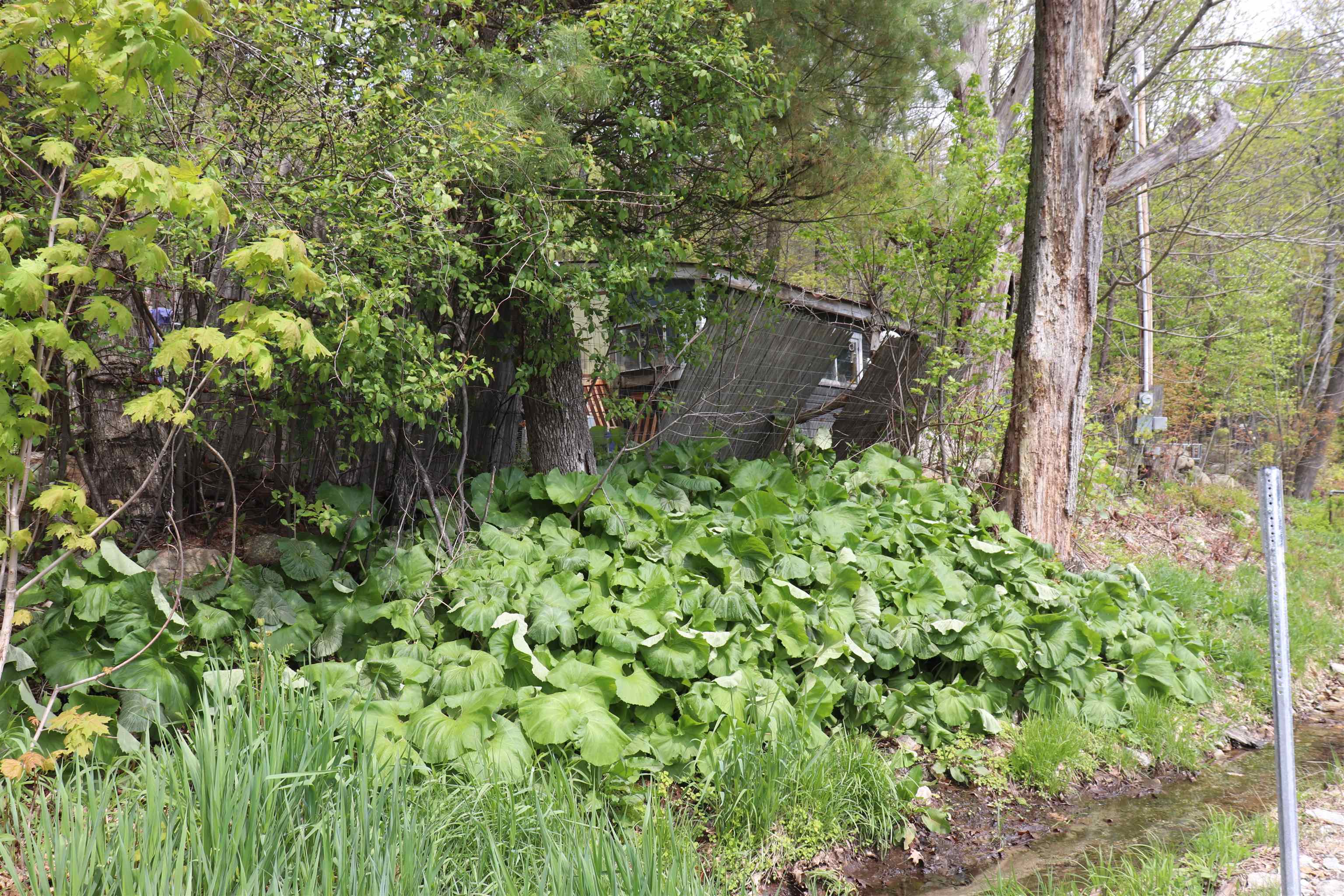 Ossipee, New Hampshire 03864, United States, ,Land,Active,157874