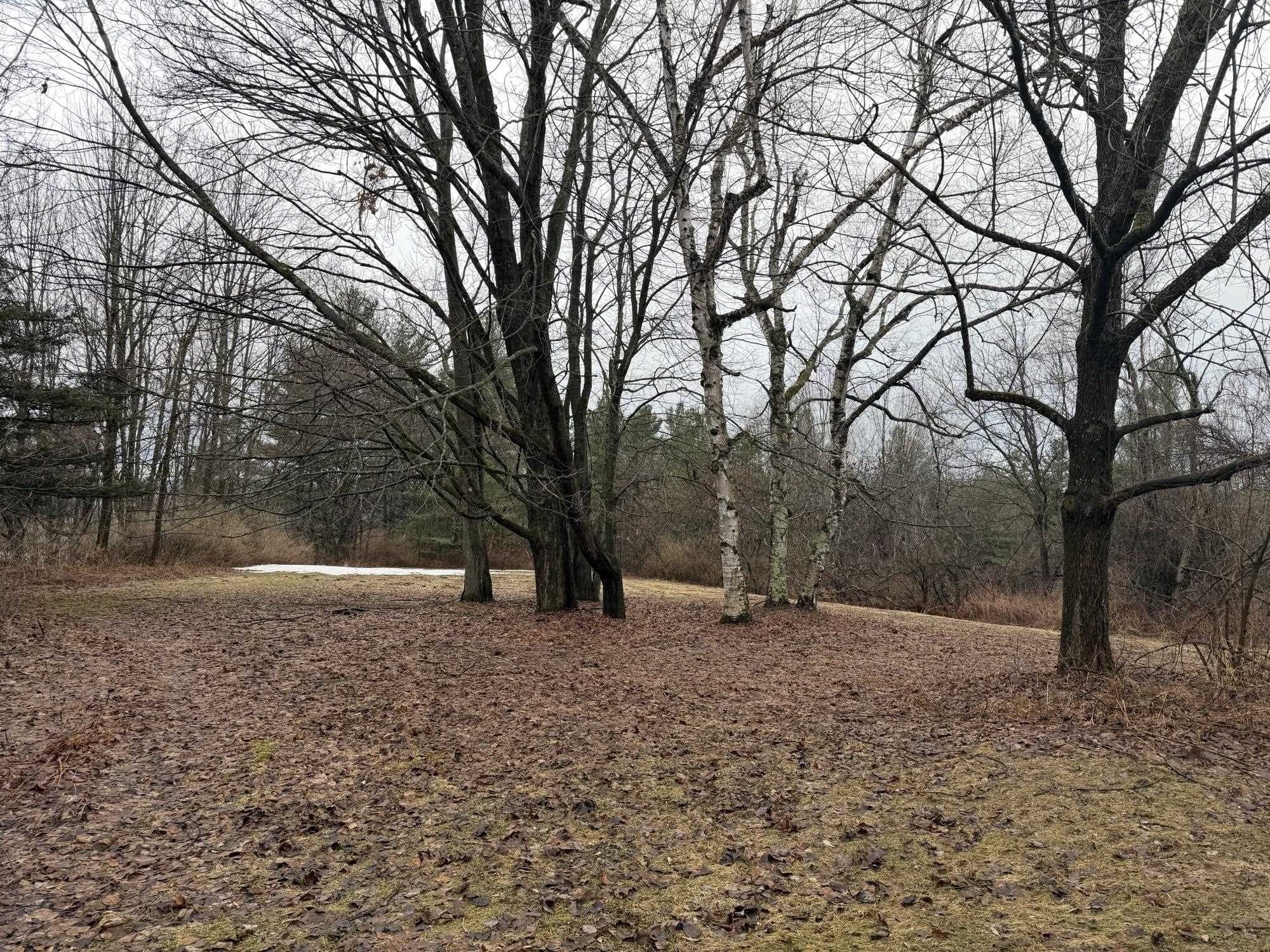 4168 Darling Hill Road