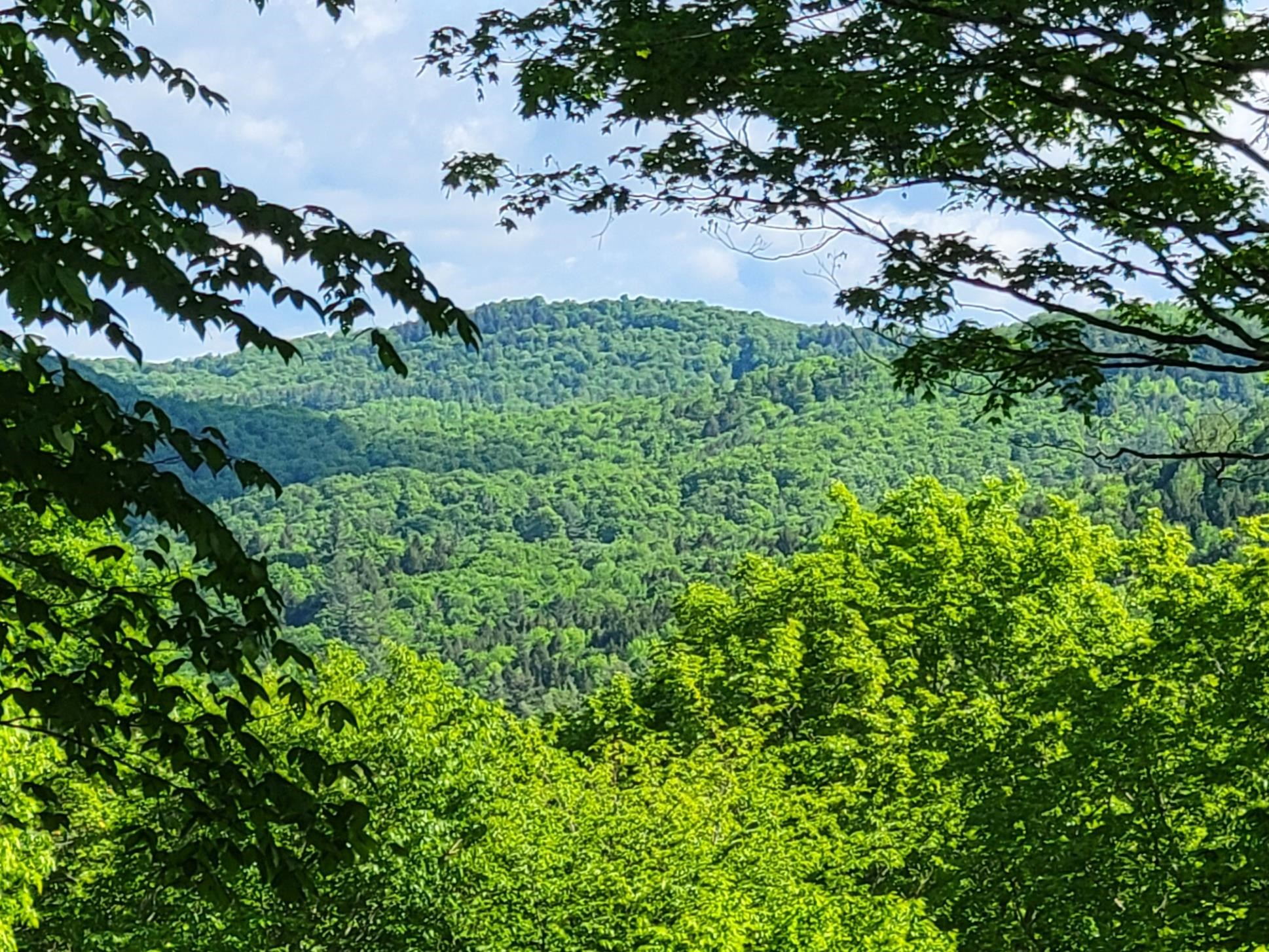 000 West Road