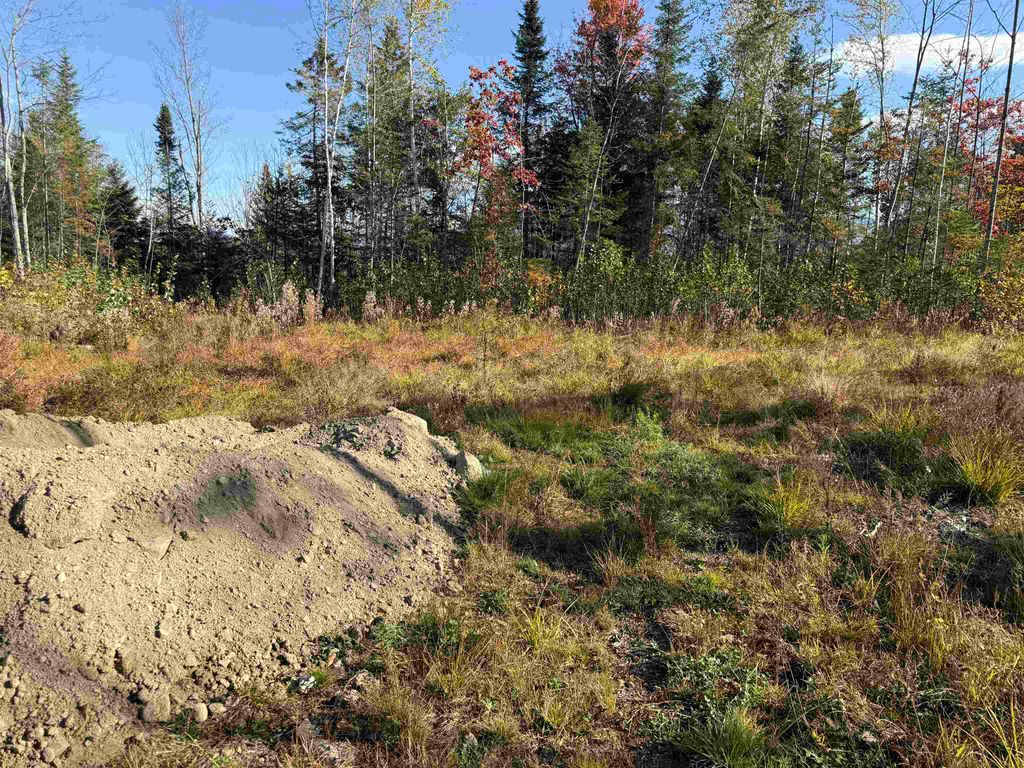 Photo of 23 Hartco Avenue, Lancaster, NH 03584 (MLS # 5065680)