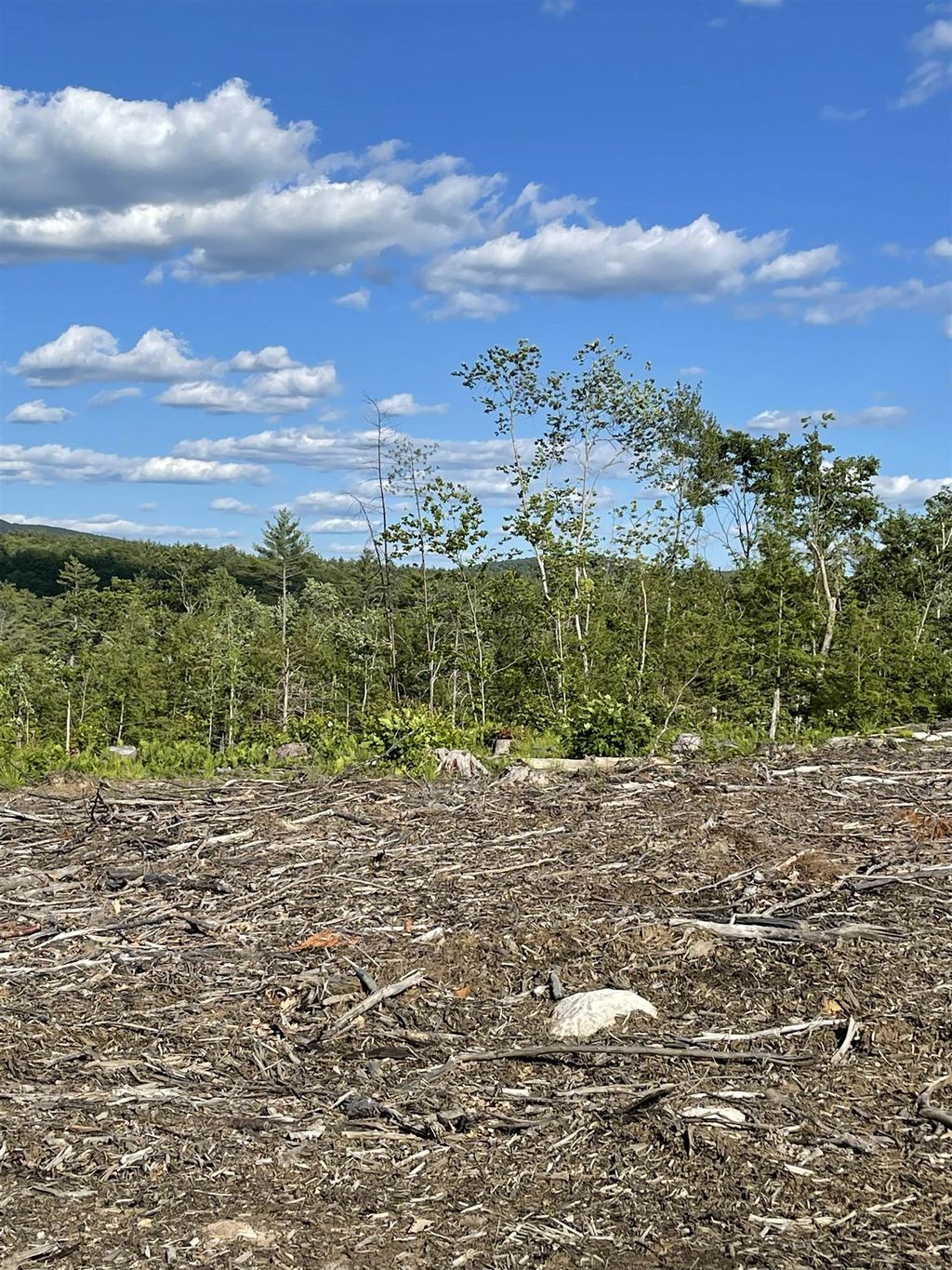 Photo of Maple Lane, Marlborough, NH 03456 (MLS # 5084337)