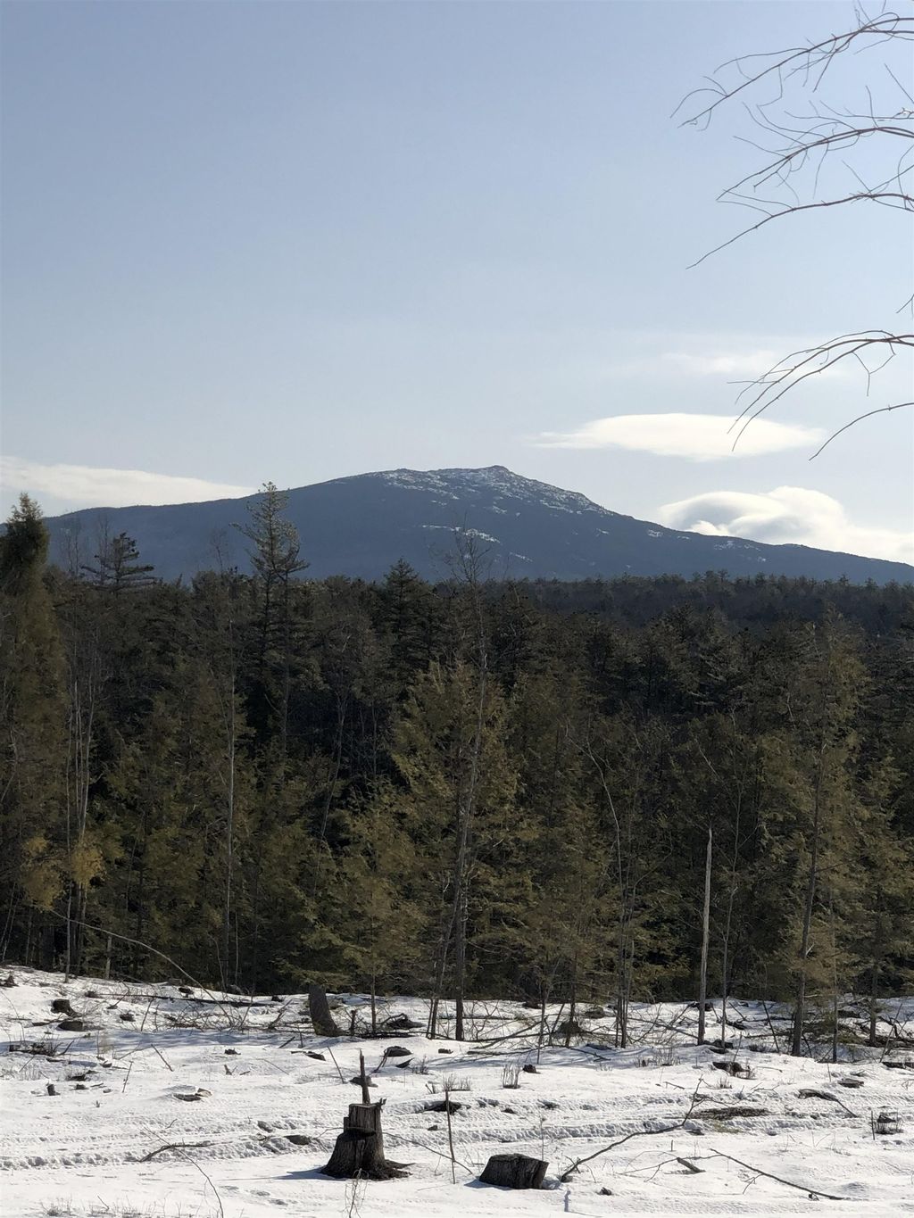 Photo of Maple Lane, Marlborough, NH 03456 (MLS # 5084337)