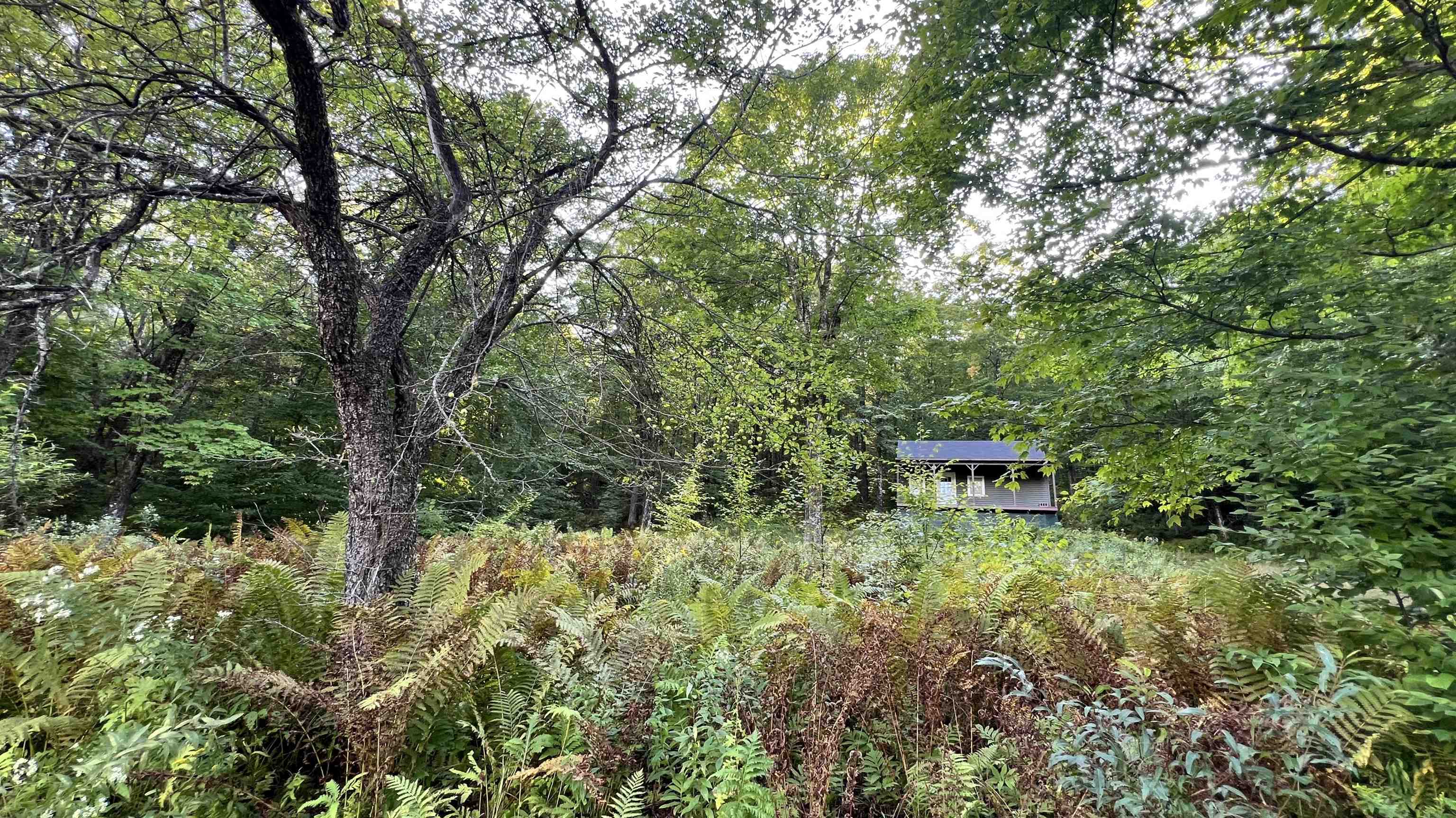2075 Codding Hollow Road