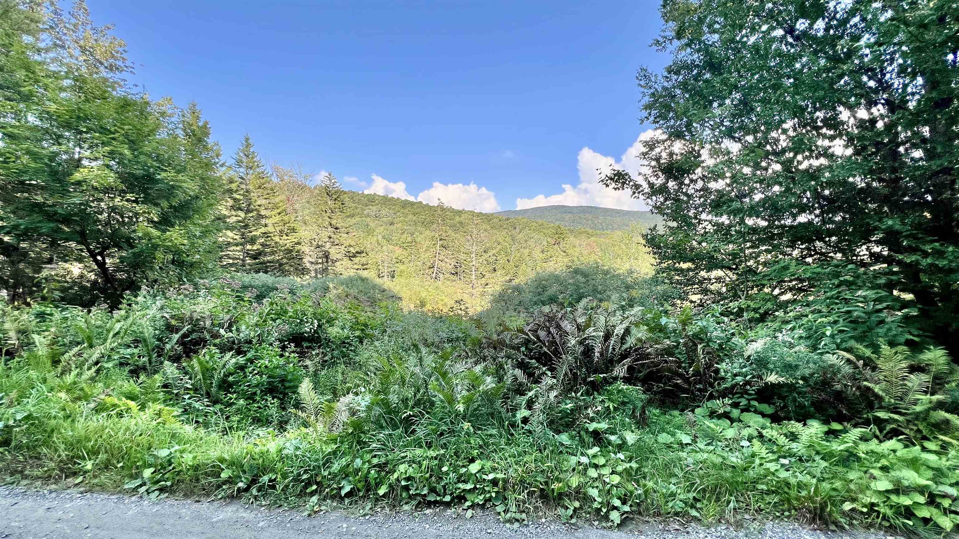 2075 Codding Hollow Road