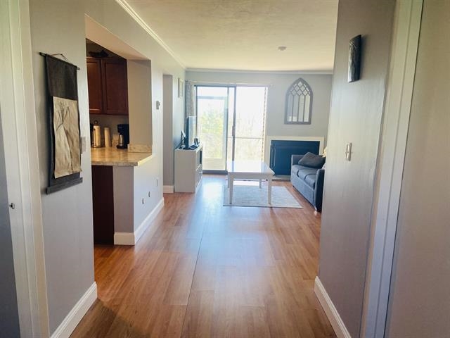 75 Treetop Circle 14