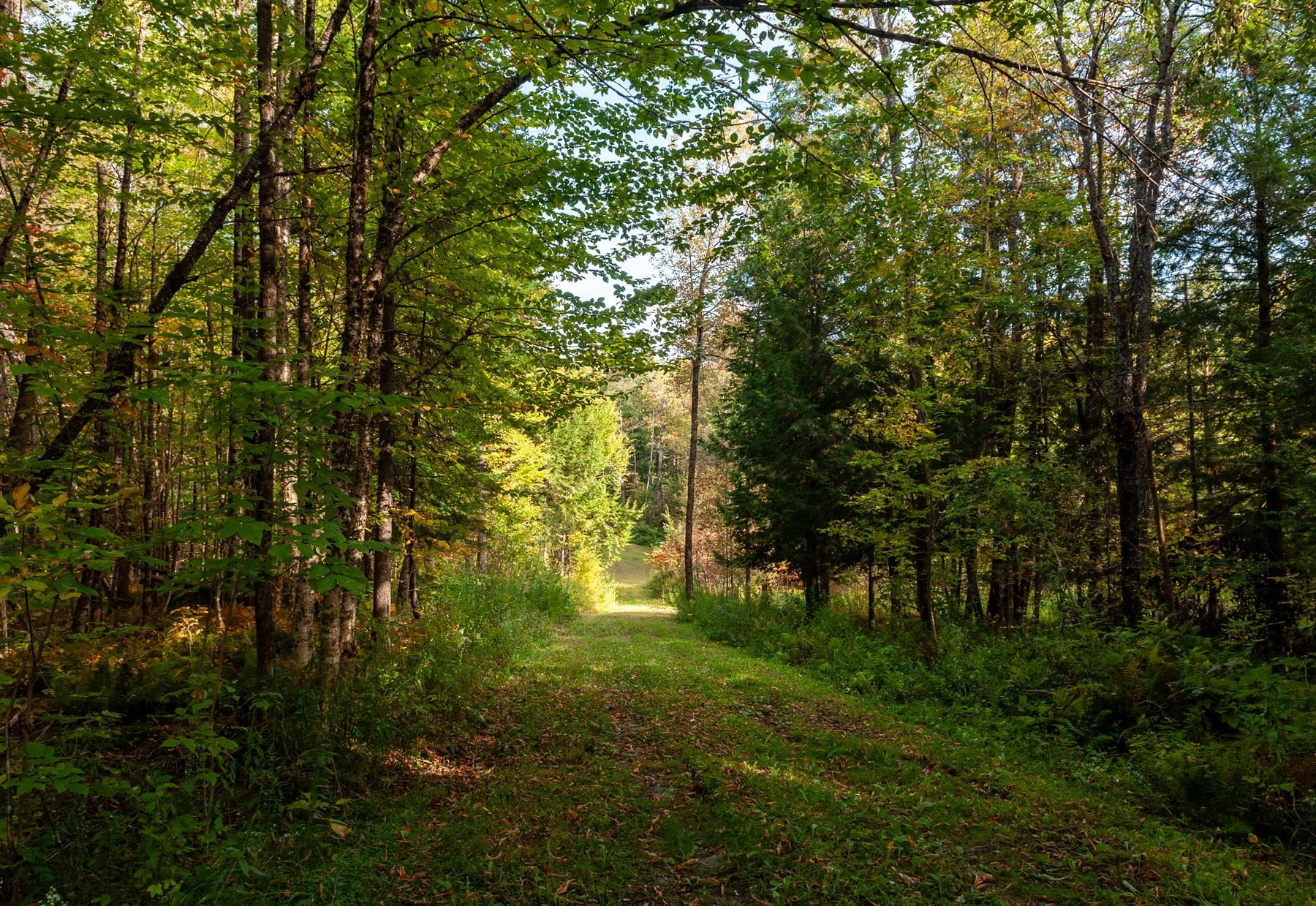 Hardwick, Vermont 05843, United States, 3 Bedrooms Bedrooms, ,3 BathroomsBathrooms,Residential,Active,244692