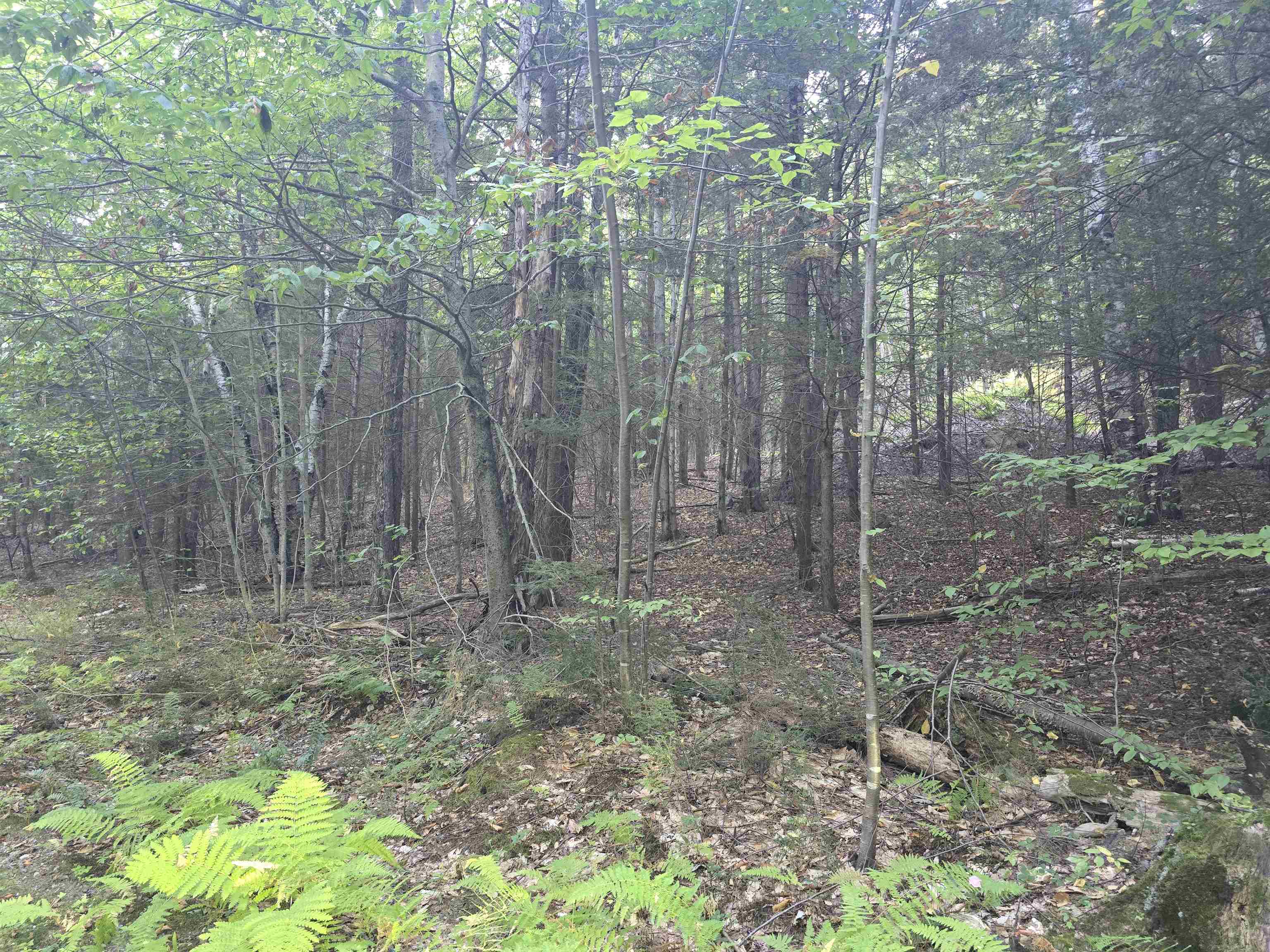 0 Thayer Road 1, 2 & 3