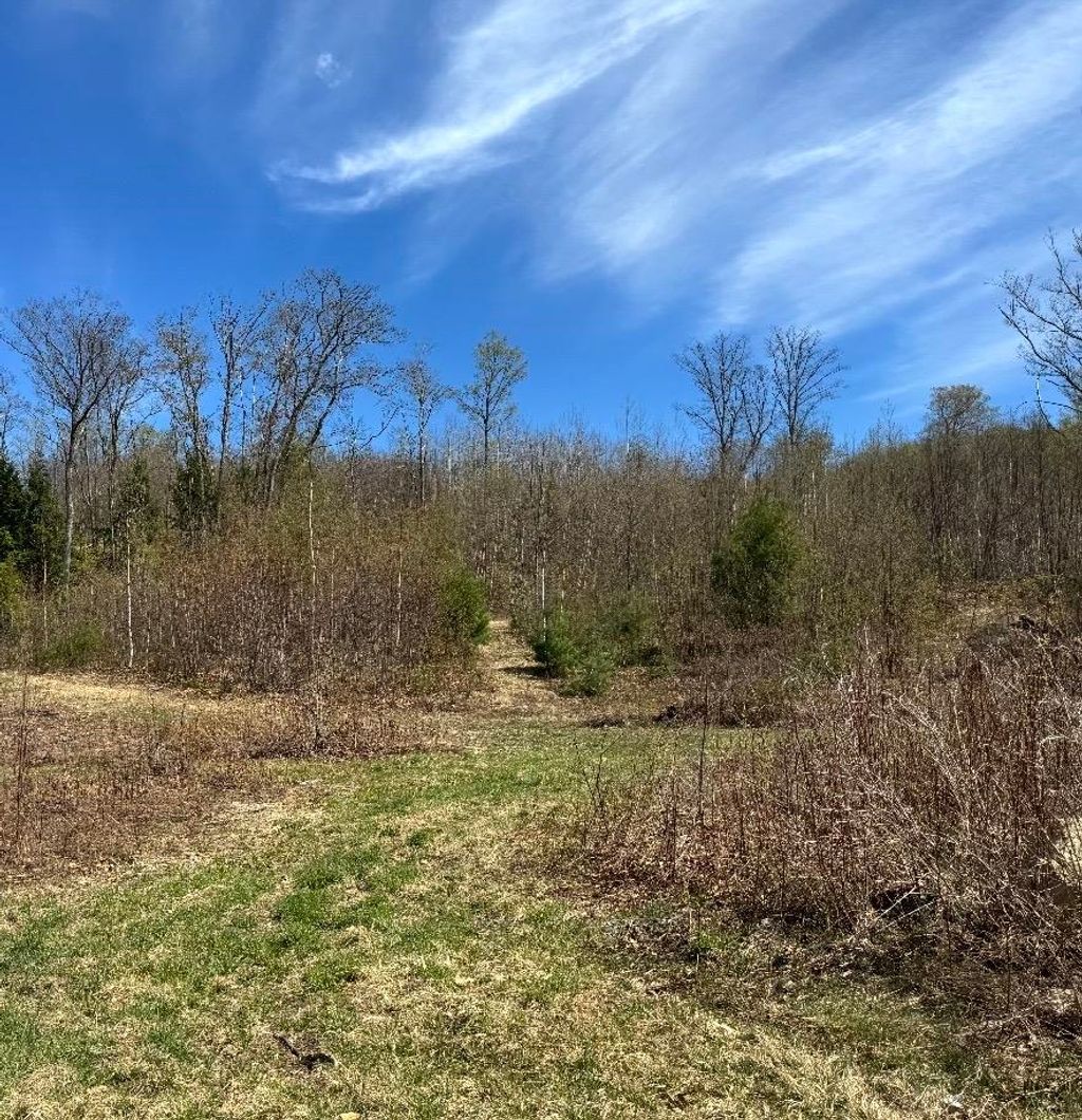 Photo of 000 Black North Road, Acworth, NH 03601 (MLS # 5073356)
