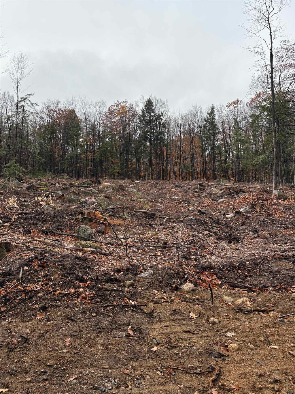 Photo of 8 Sugarloaf Drive #12, Ossipee, NH 03814 (MLS # 5069152)