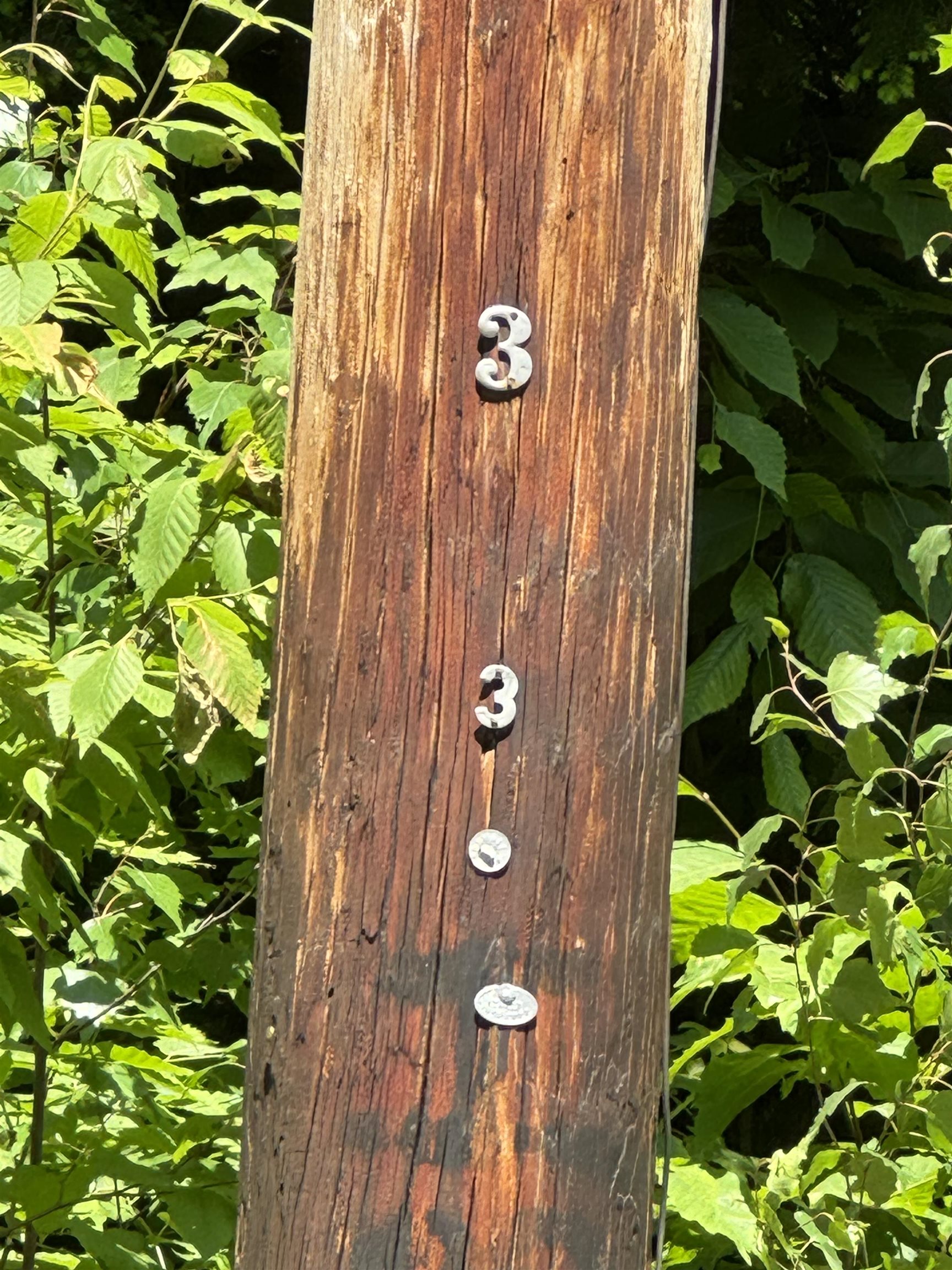 0 Boardman Loop
