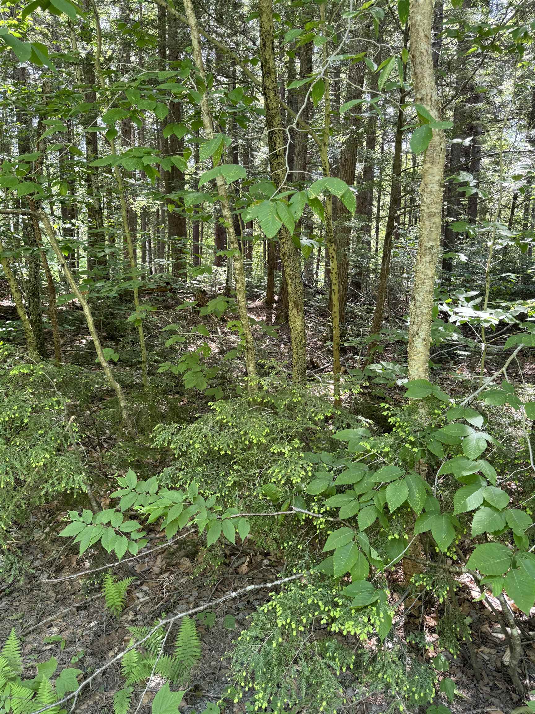0 Boardman Loop