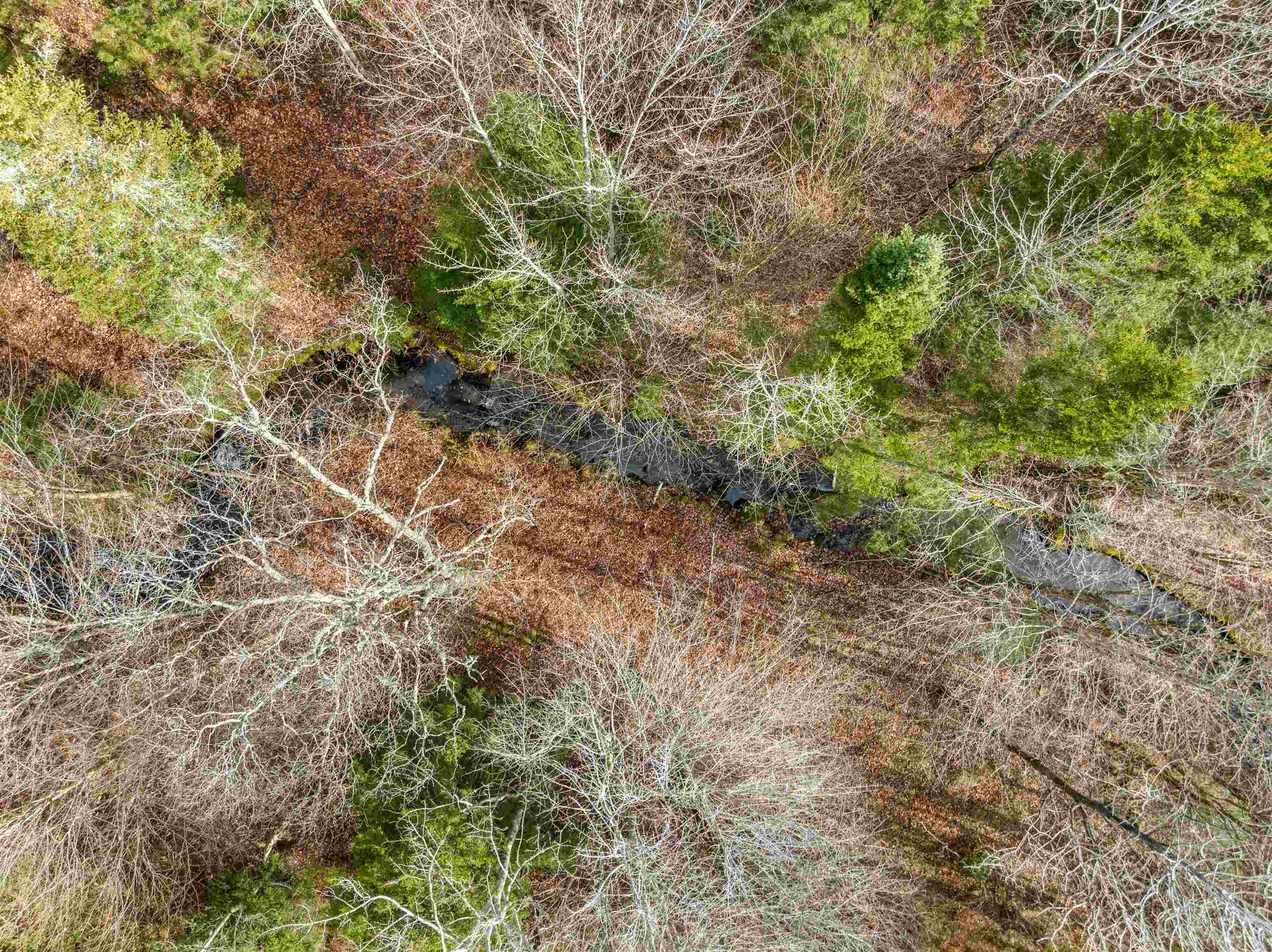 Belvidere, Vermont 05442, United States, ,Land,Active,30008