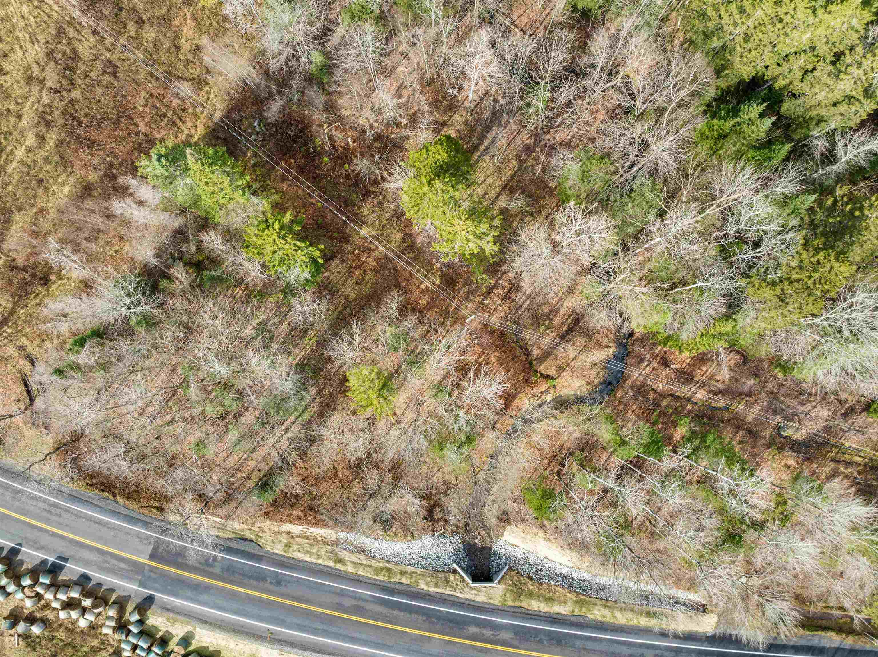 Belvidere, Vermont 05442, United States, ,Land,Active,30008