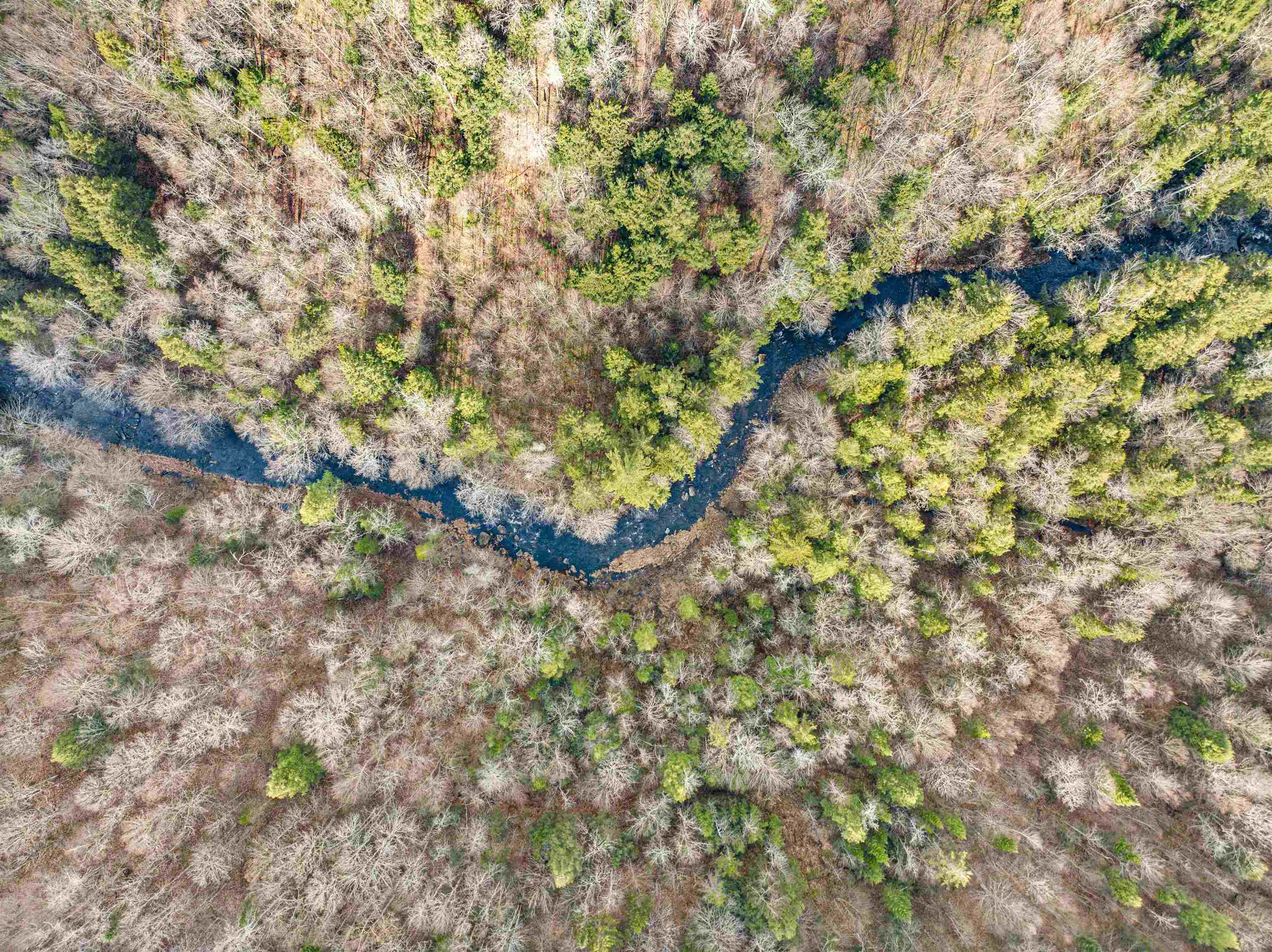 Belvidere, Vermont 05442, United States, ,Land,Active,30008