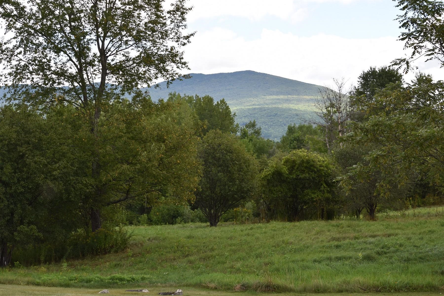 0 McKinley Avenue 2A