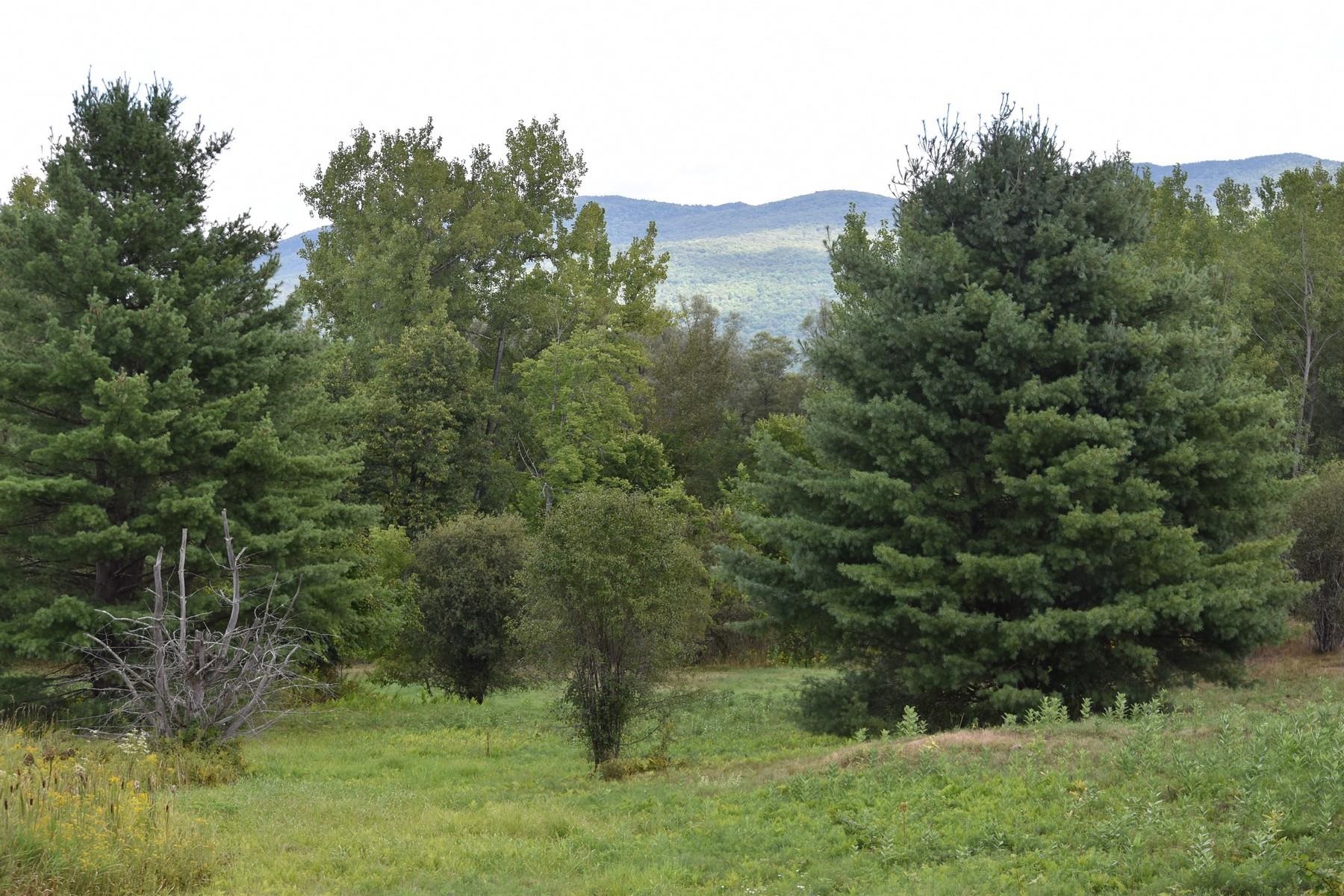 0 McKinley Avenue 2A