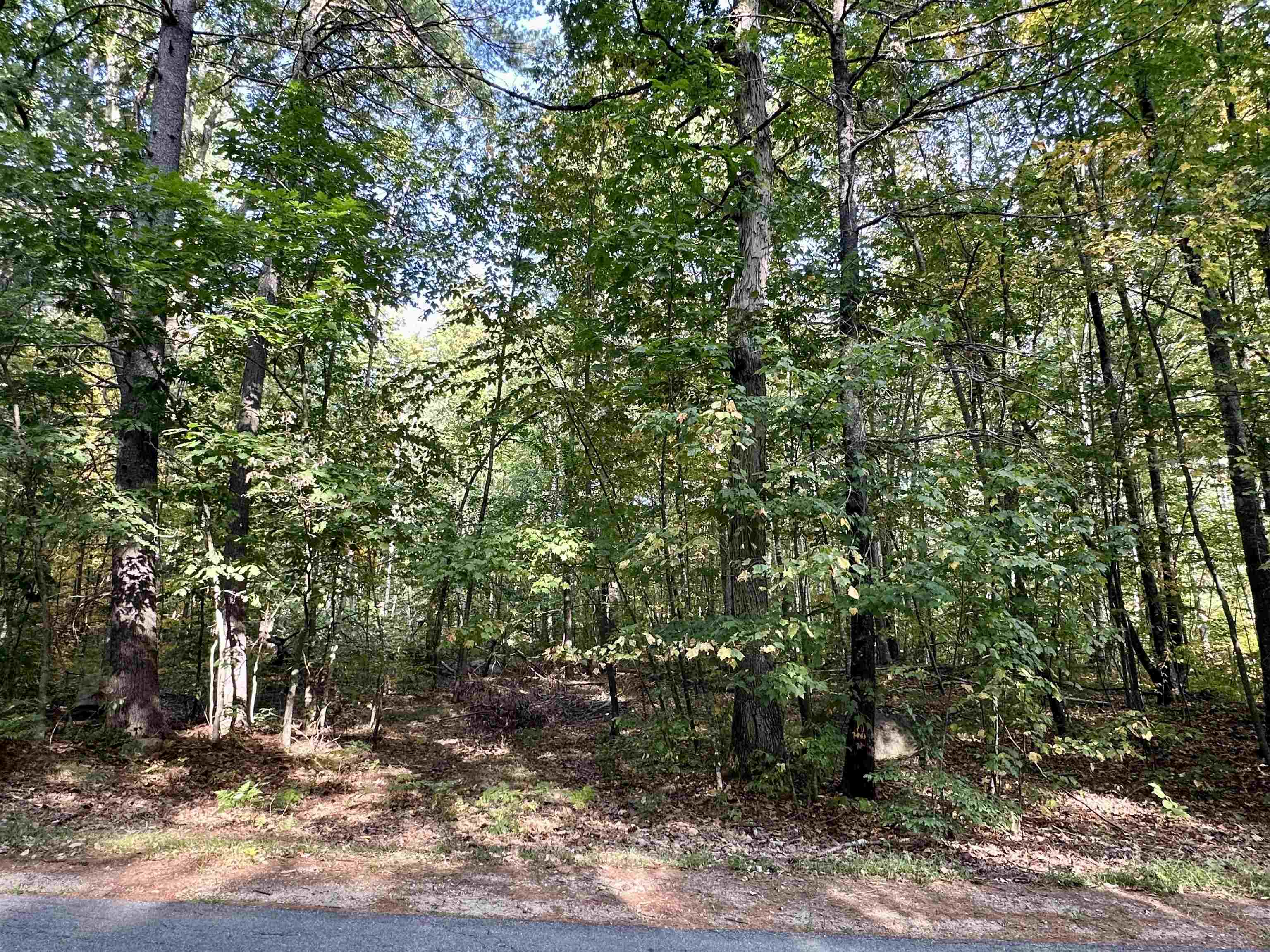 43 Otis Road