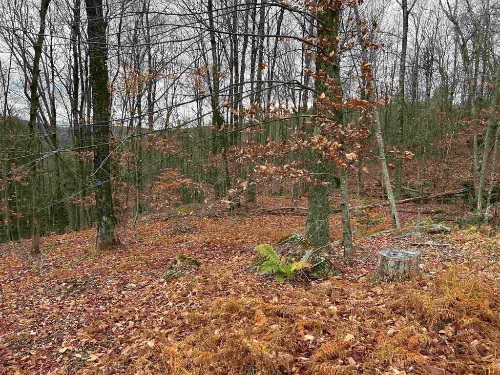 Photo of 0 Pound Road, Sutton, NH 03221 (MLS # 5069443)