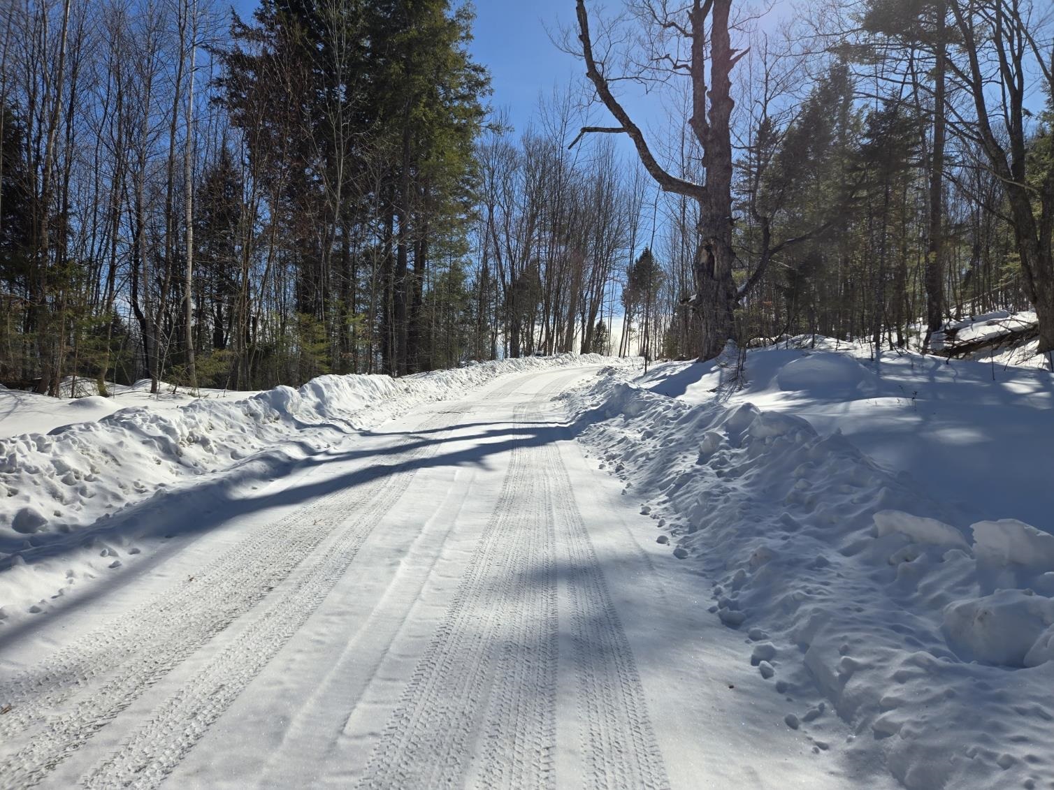 00 VT Rte 12 Lot 2 Highway Lot 2