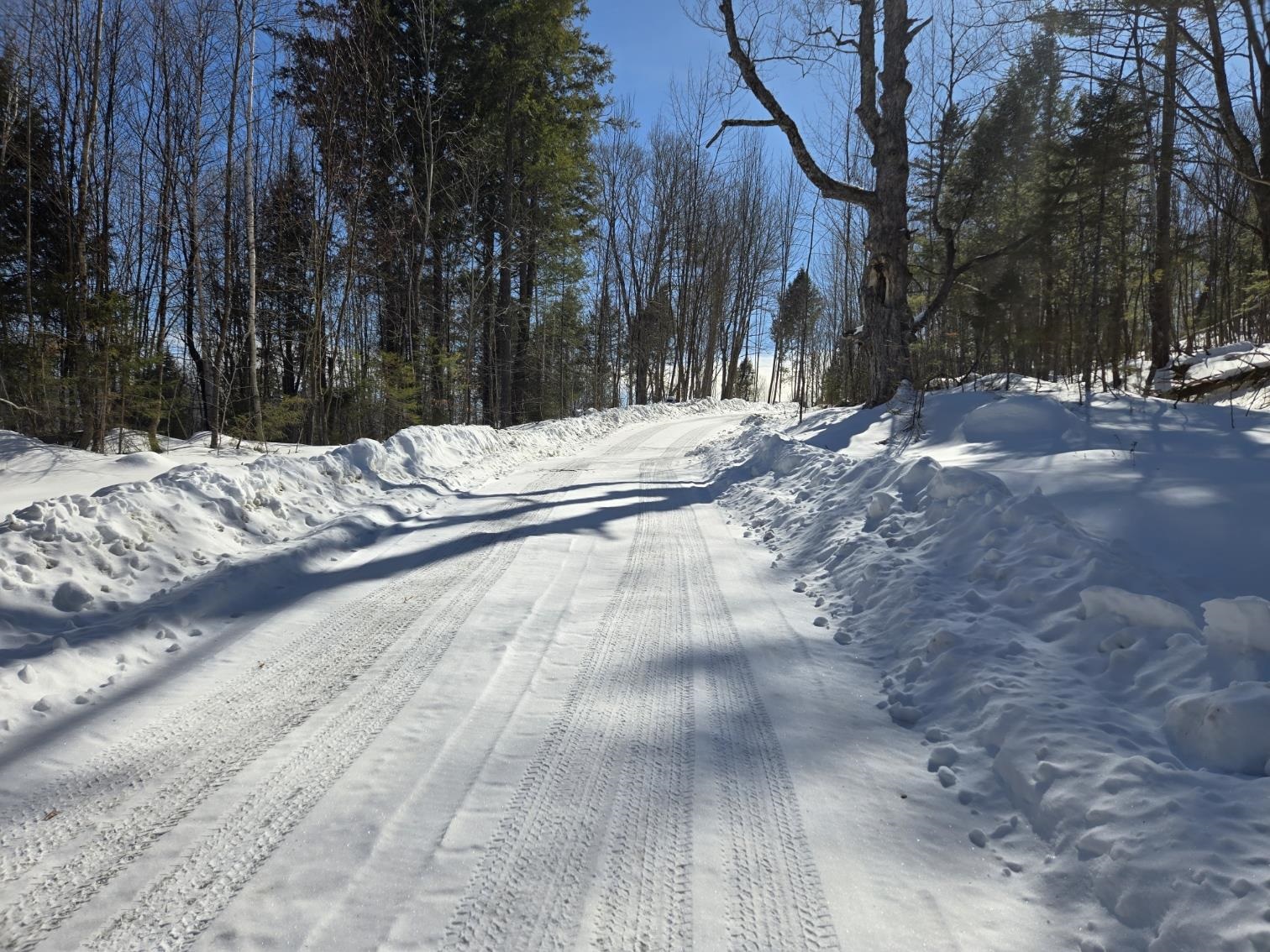 00 VT Rte 12 Lot 2 Highway Lot 2