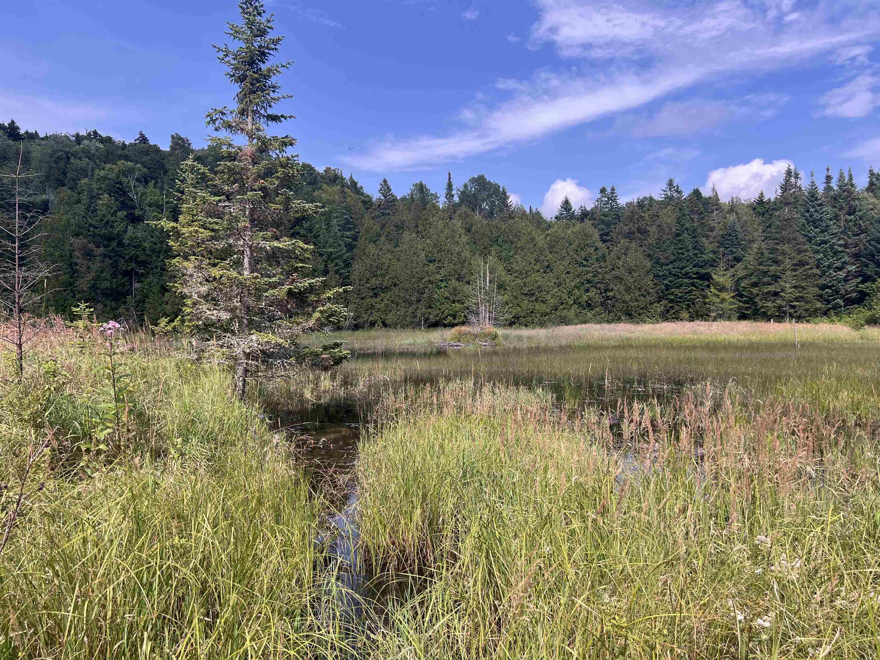 0 Hartwell Pond Road