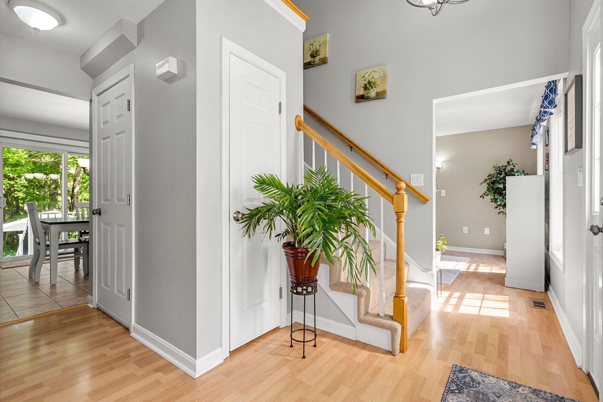 33 Drew Woods Drive