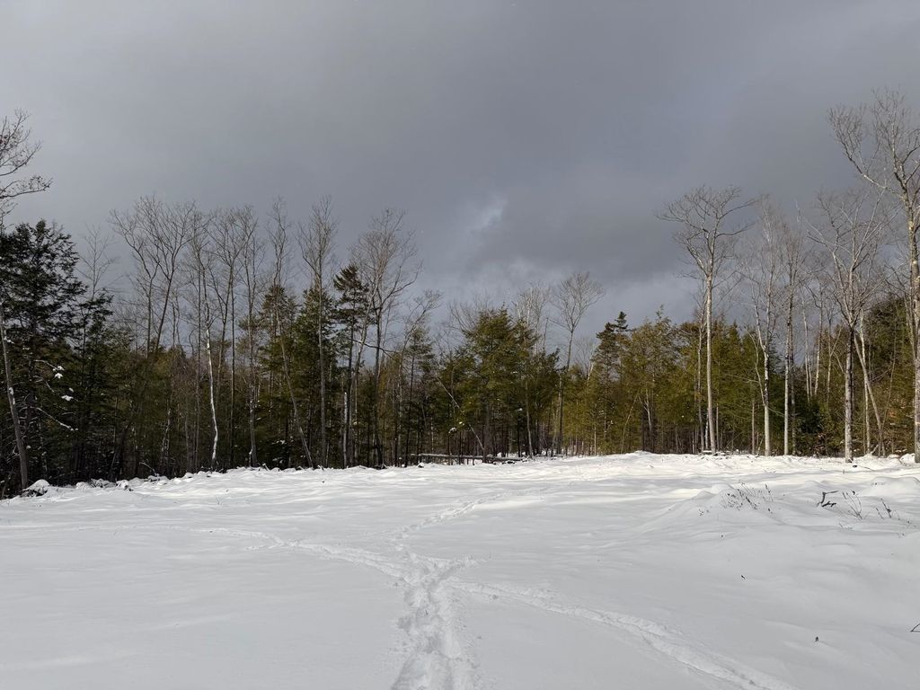 Photo of 000 Dwinell Road, Troy, NH 03465 (MLS # 5071340)