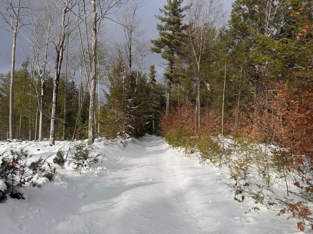 Photo of 000 Dwinell Road, Troy, NH 03465 (MLS # 5071340)