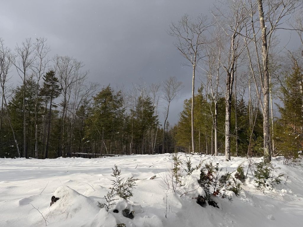 Photo of 000 Dwinell Road, Troy, NH 03465 (MLS # 5071340)