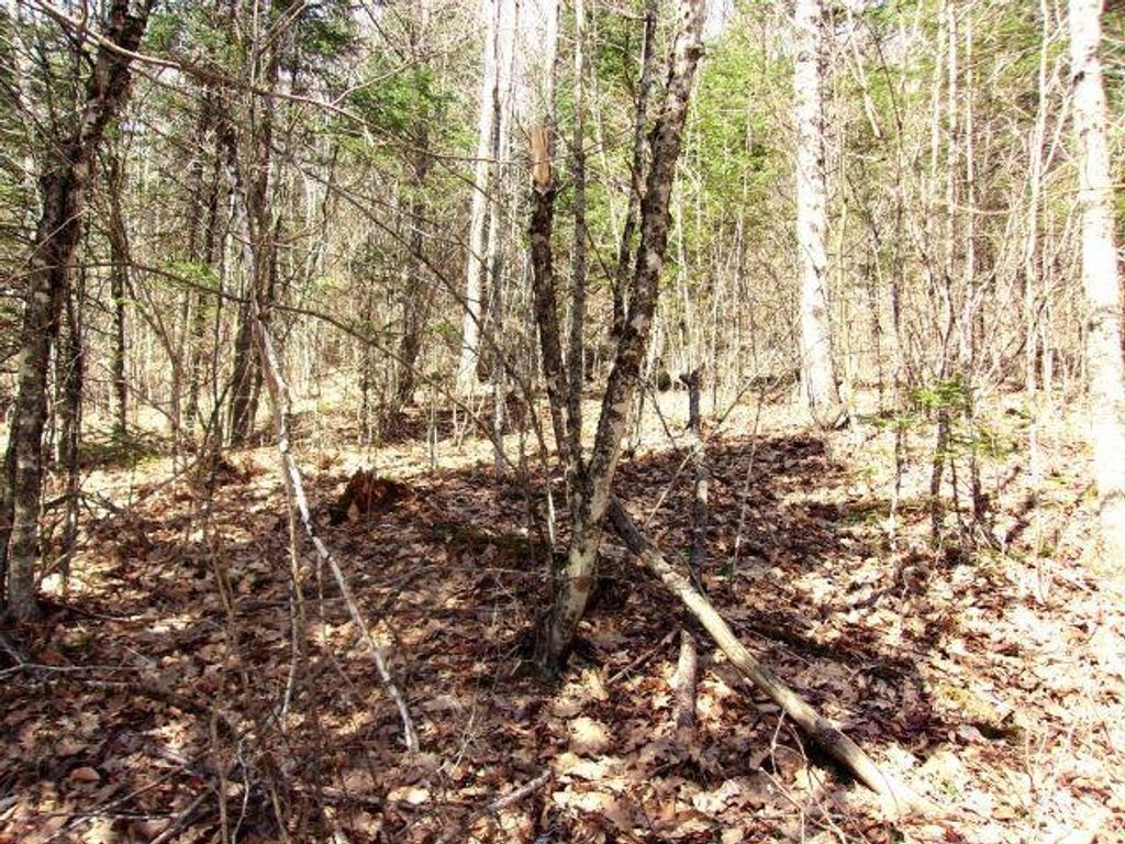 Photo of French Pond Road #165, Haverhill, NH 03785 (MLS # 5085450)