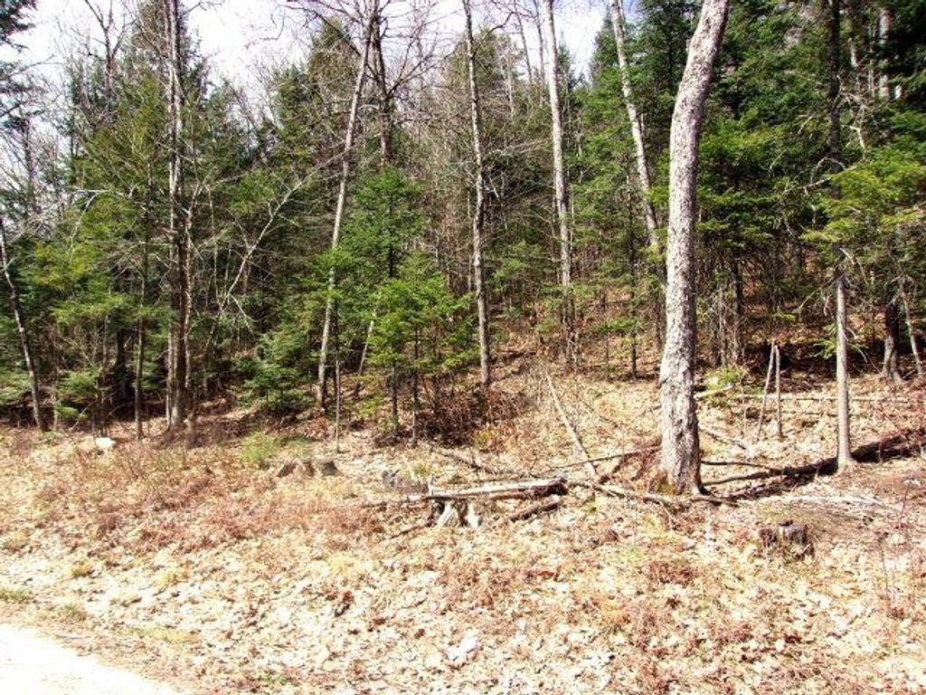 Photo of French Pond Road #165, Haverhill, NH 03785 (MLS # 5085450)