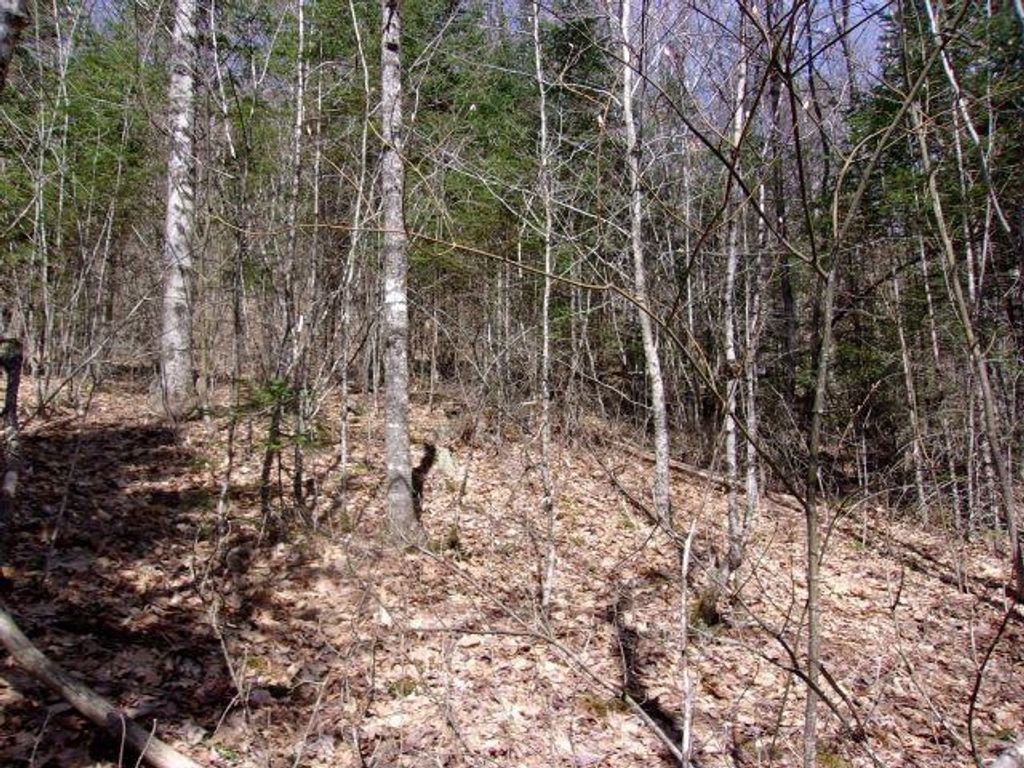 Photo of French Pond Road #165, Haverhill, NH 03785 (MLS # 5085450)