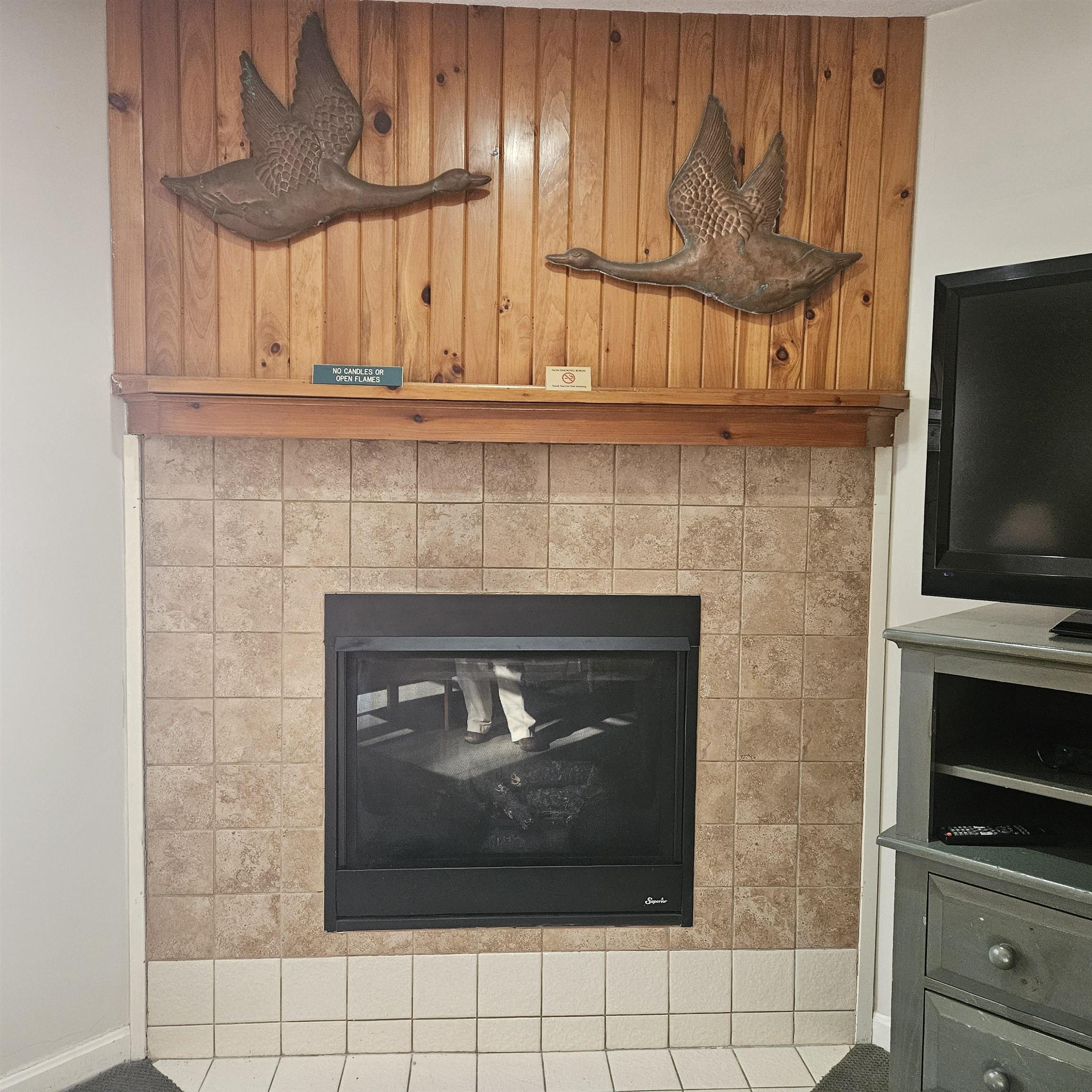 164 Deer Park Drive 161D